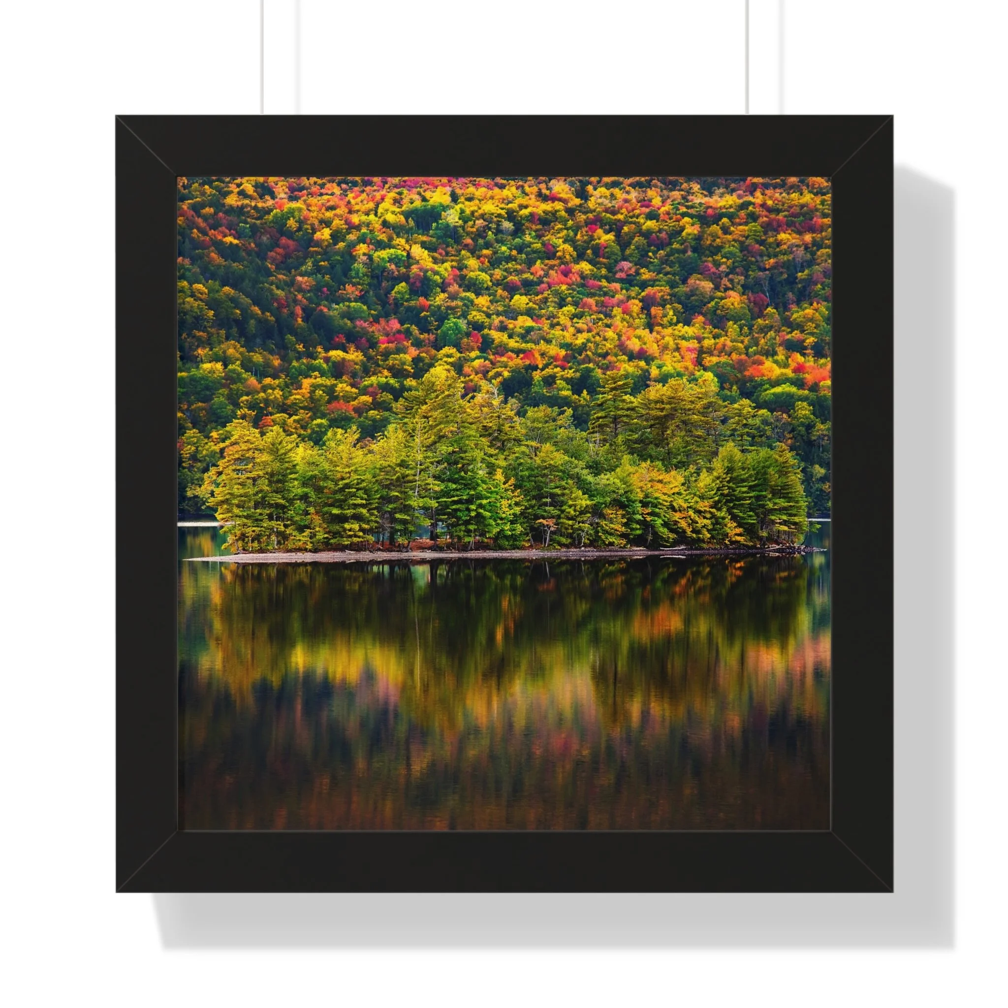 6504242f773a2736ee502ebb499dcca8