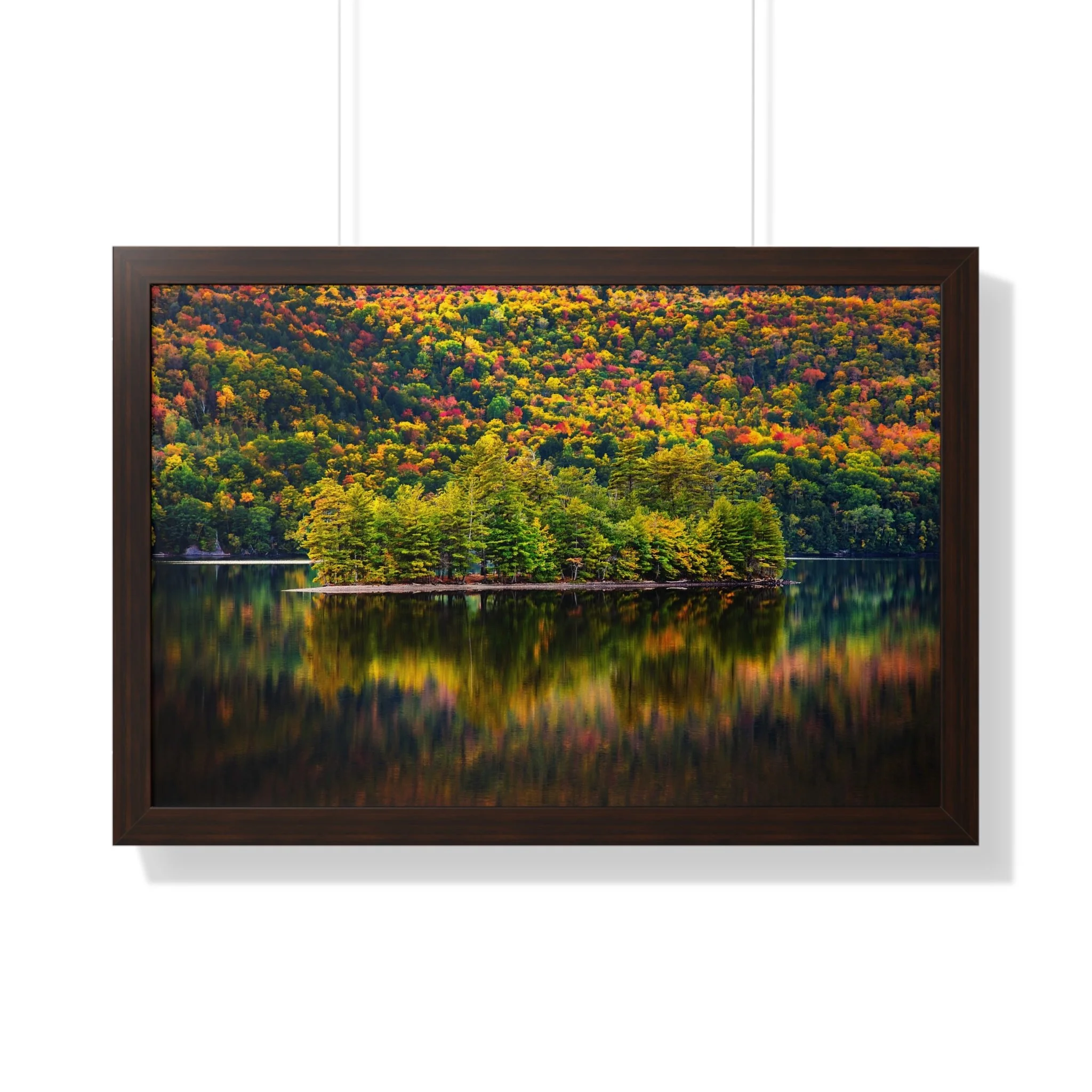 bb8bddb547b1dc872b3f9a5dc2d1fd72