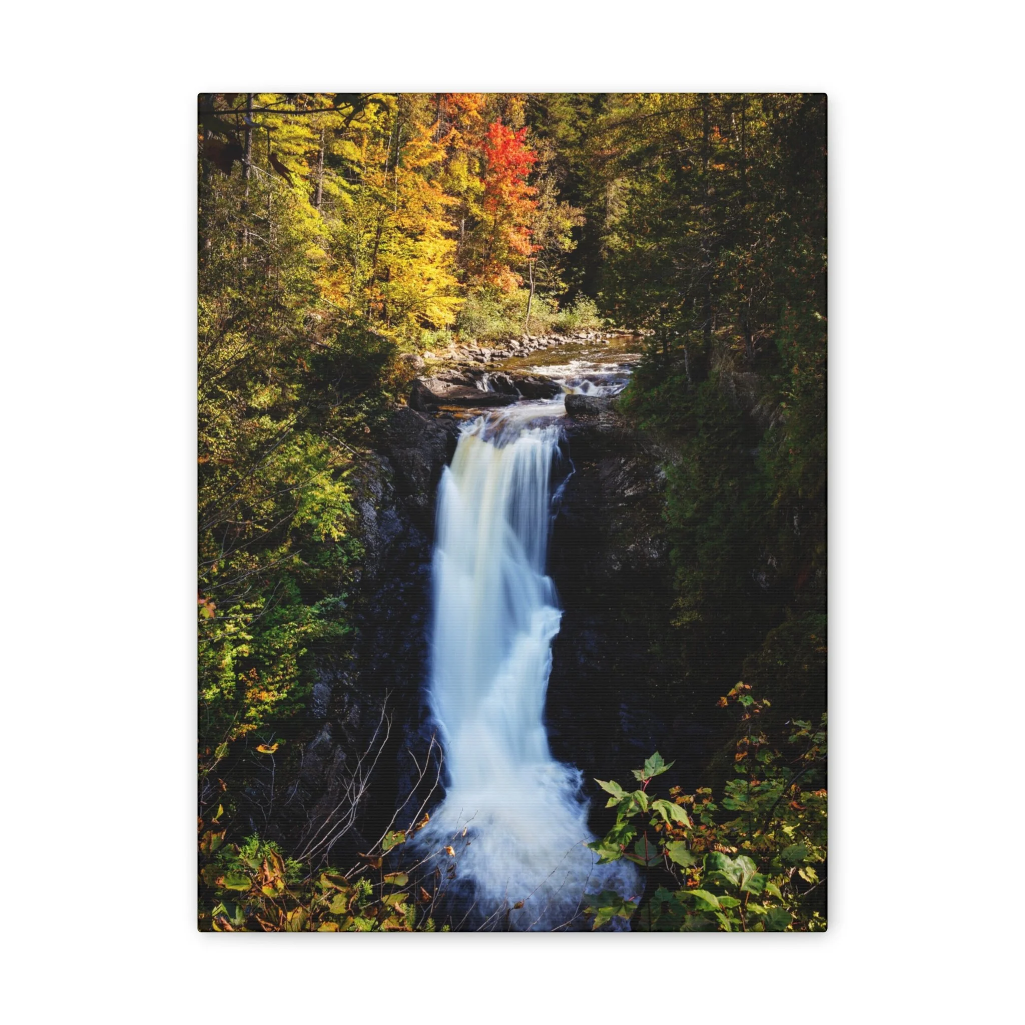 8851c6a6aa00dbc105b245a4e38f2e4f