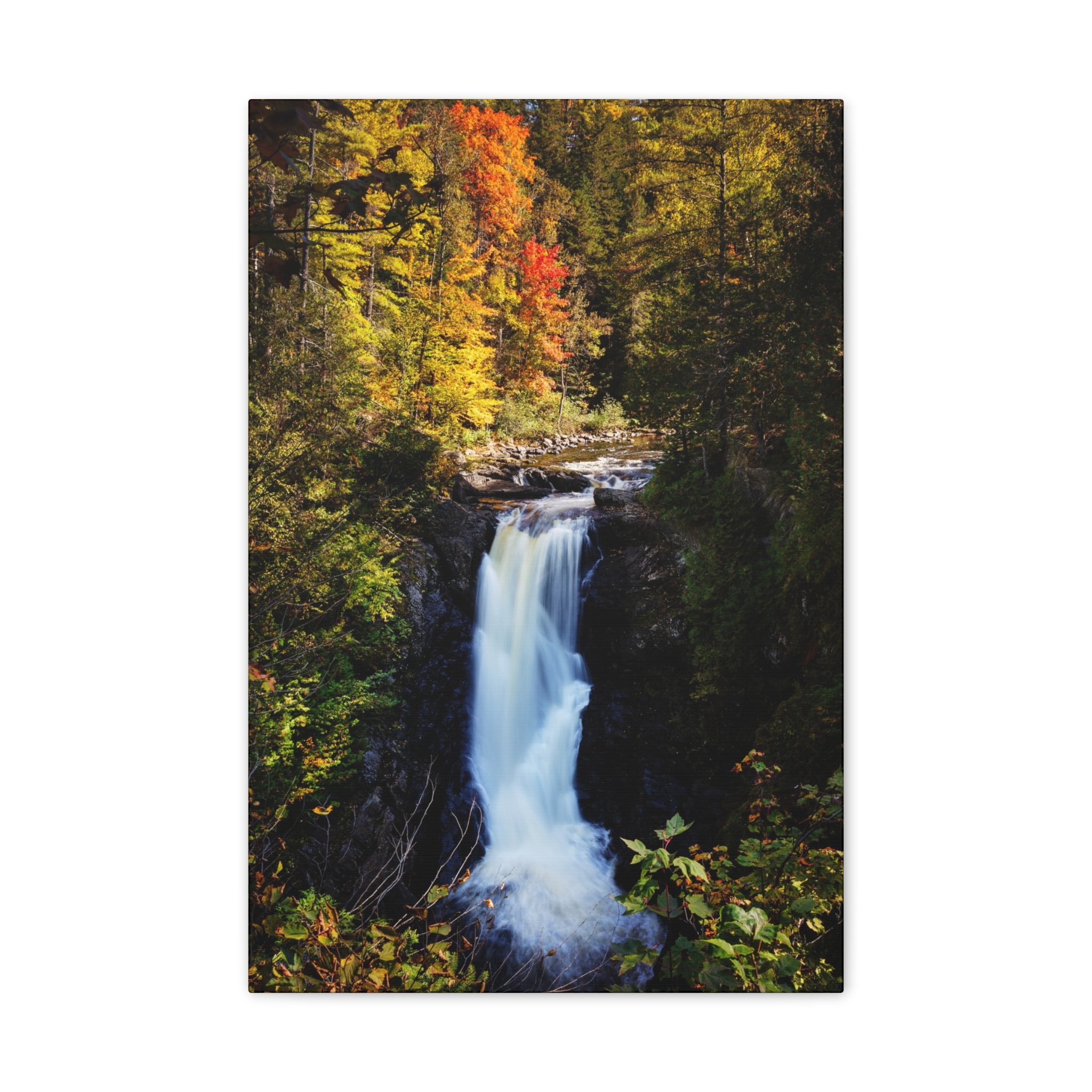 a6eb8ed1d21625e49d54d9cac40866c6