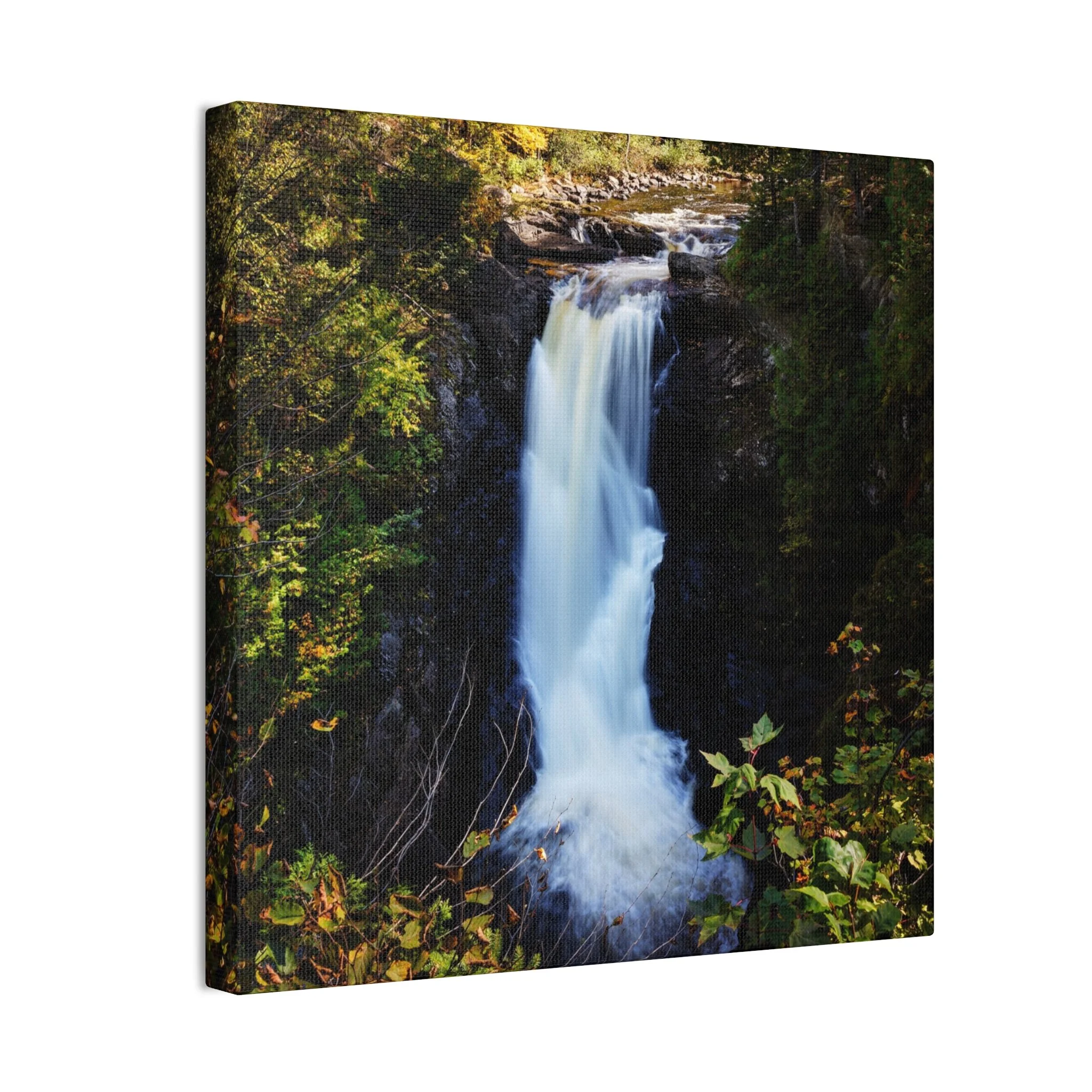 f50af4b25b44f8b48dff06f17d31718f