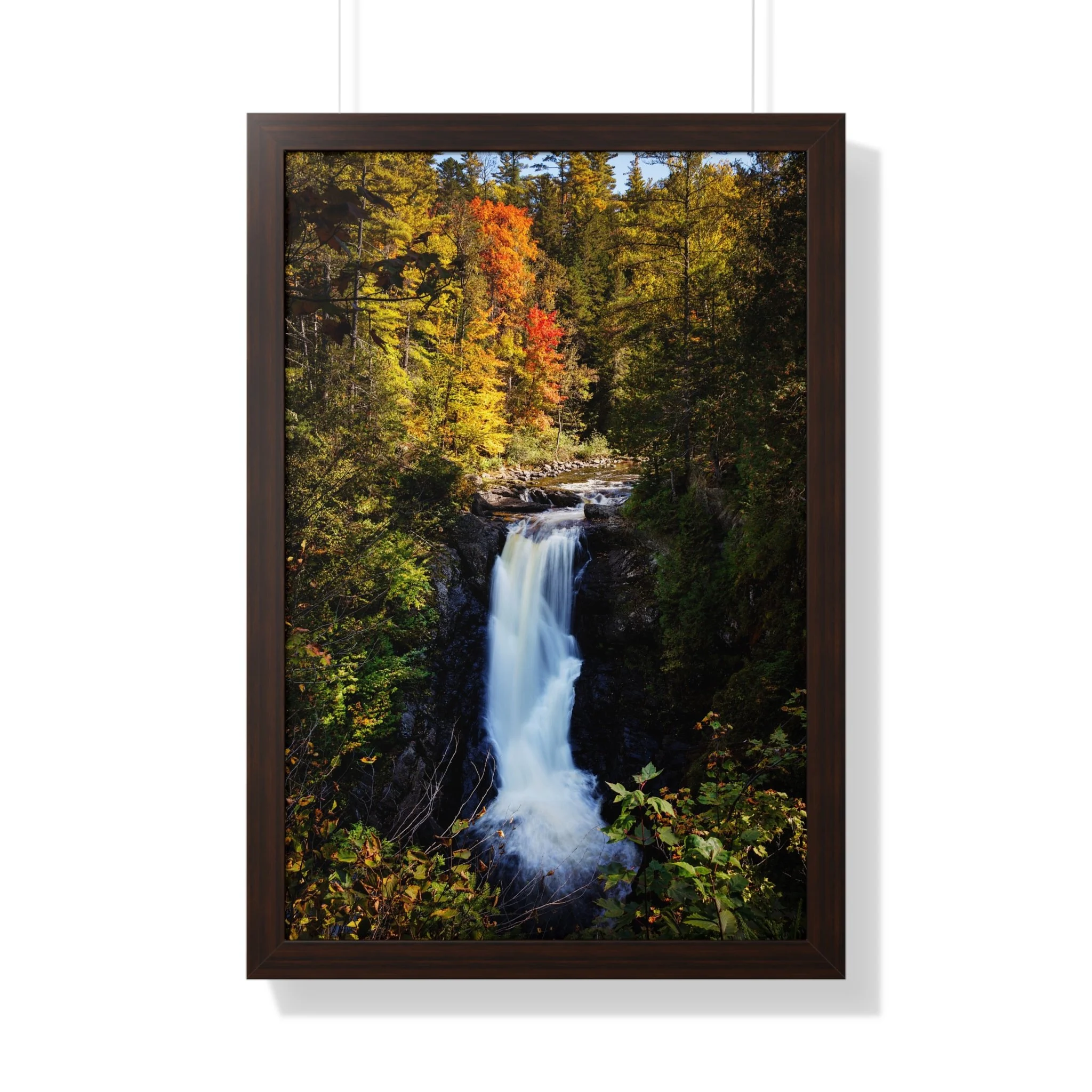 cd0df4d688efe9f065b389d2dac419bd