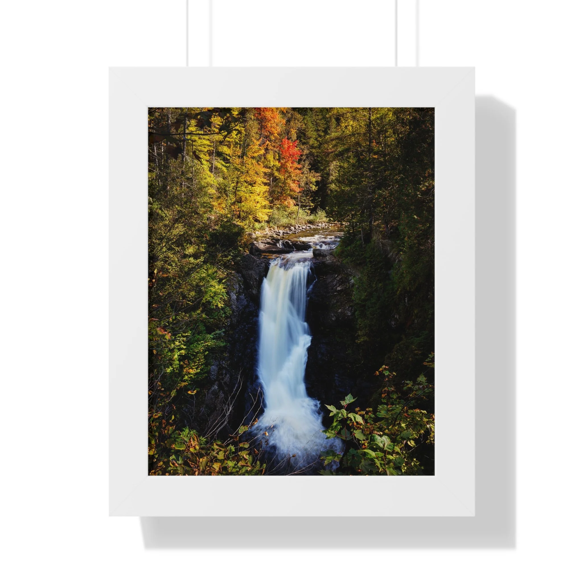 d53ddf7c448ce25371f605e5c4728da6