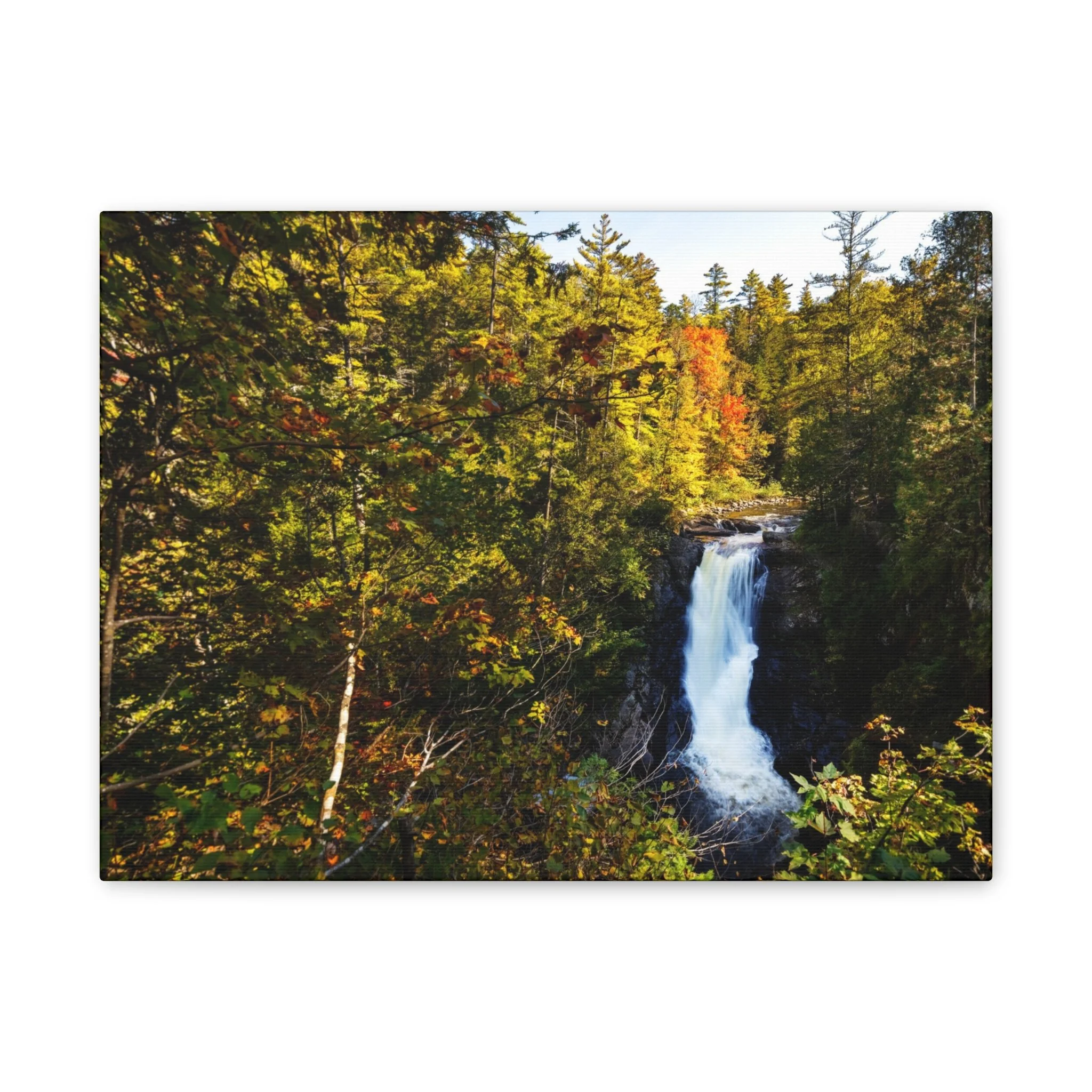 519ccca6a810fafdde700a62b9d39426