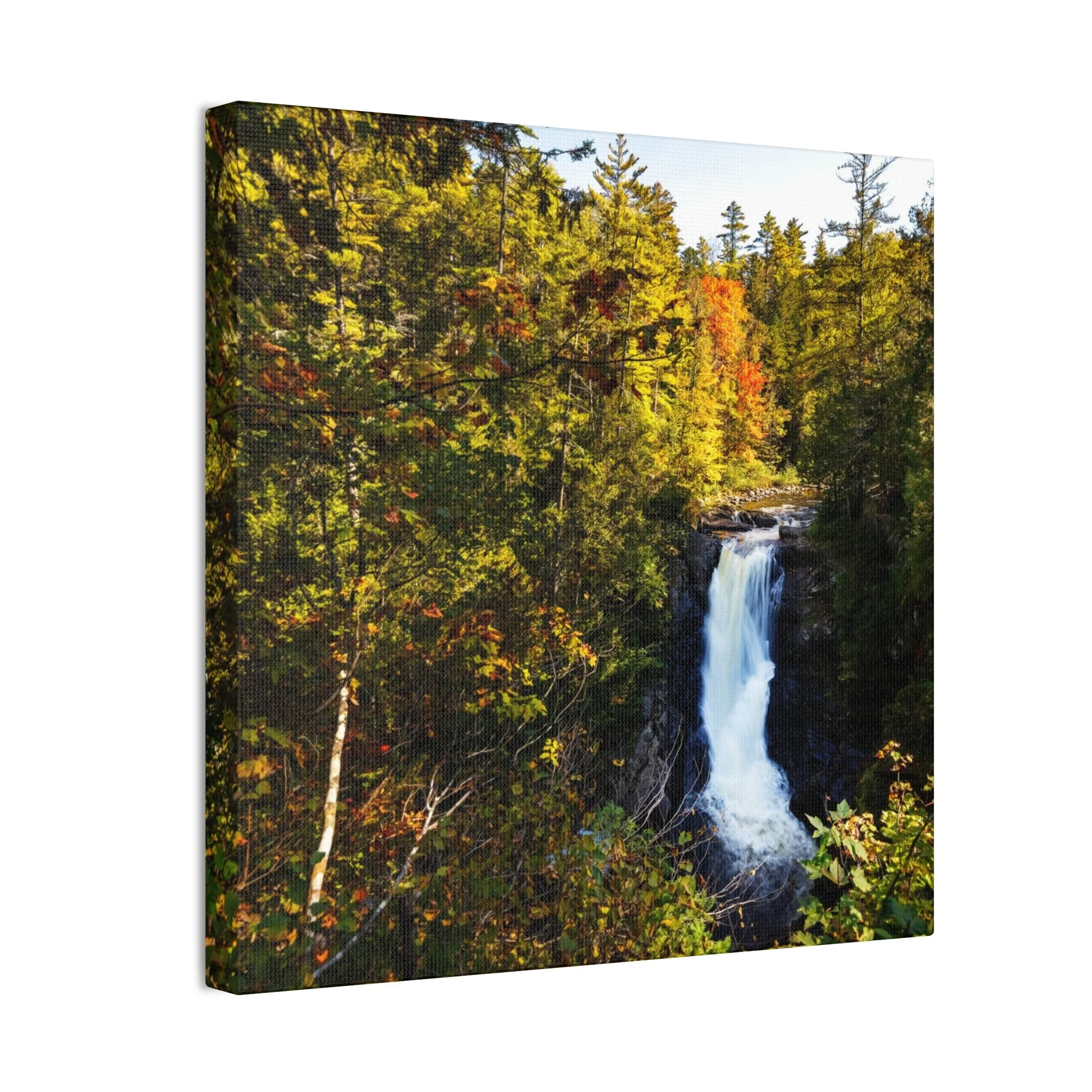 b52a316854060ea15d0a35e776567bd0