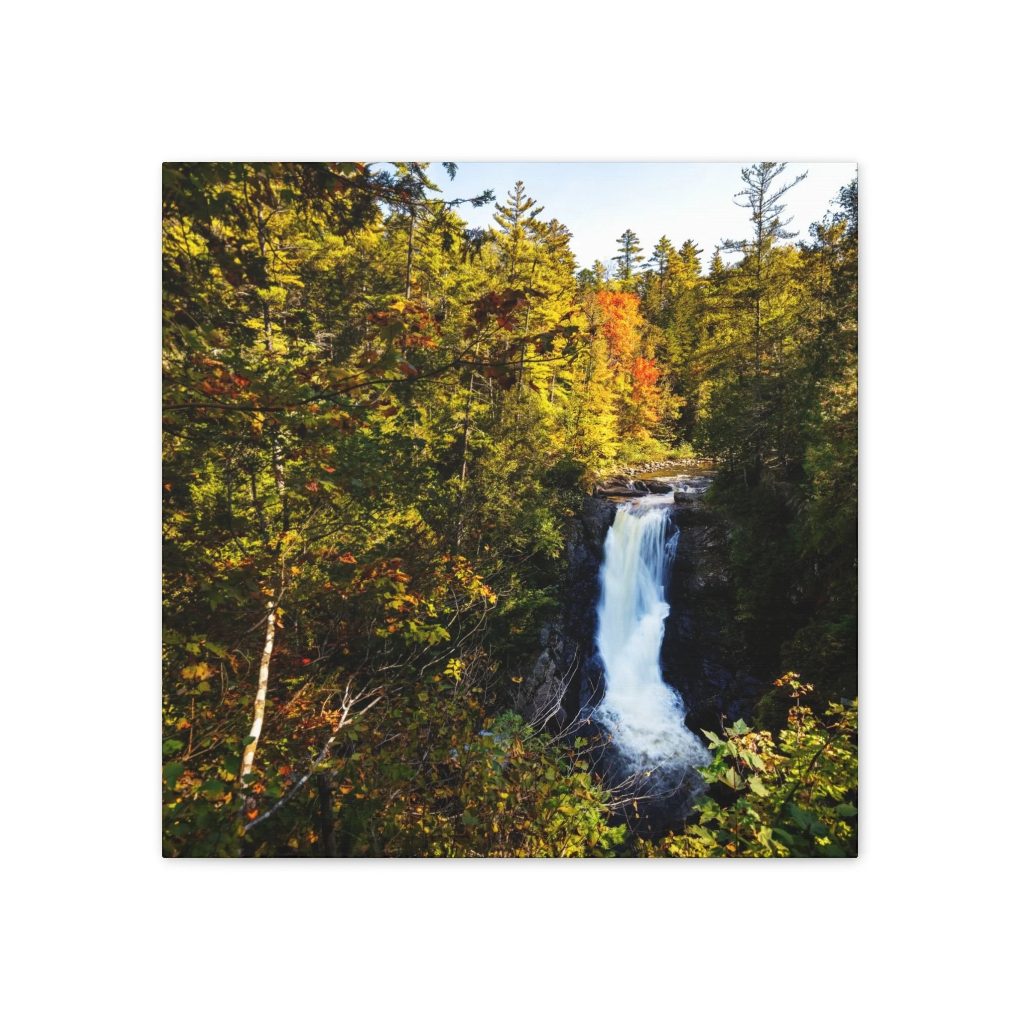 30329c459c7293d81158a798a10c2a60