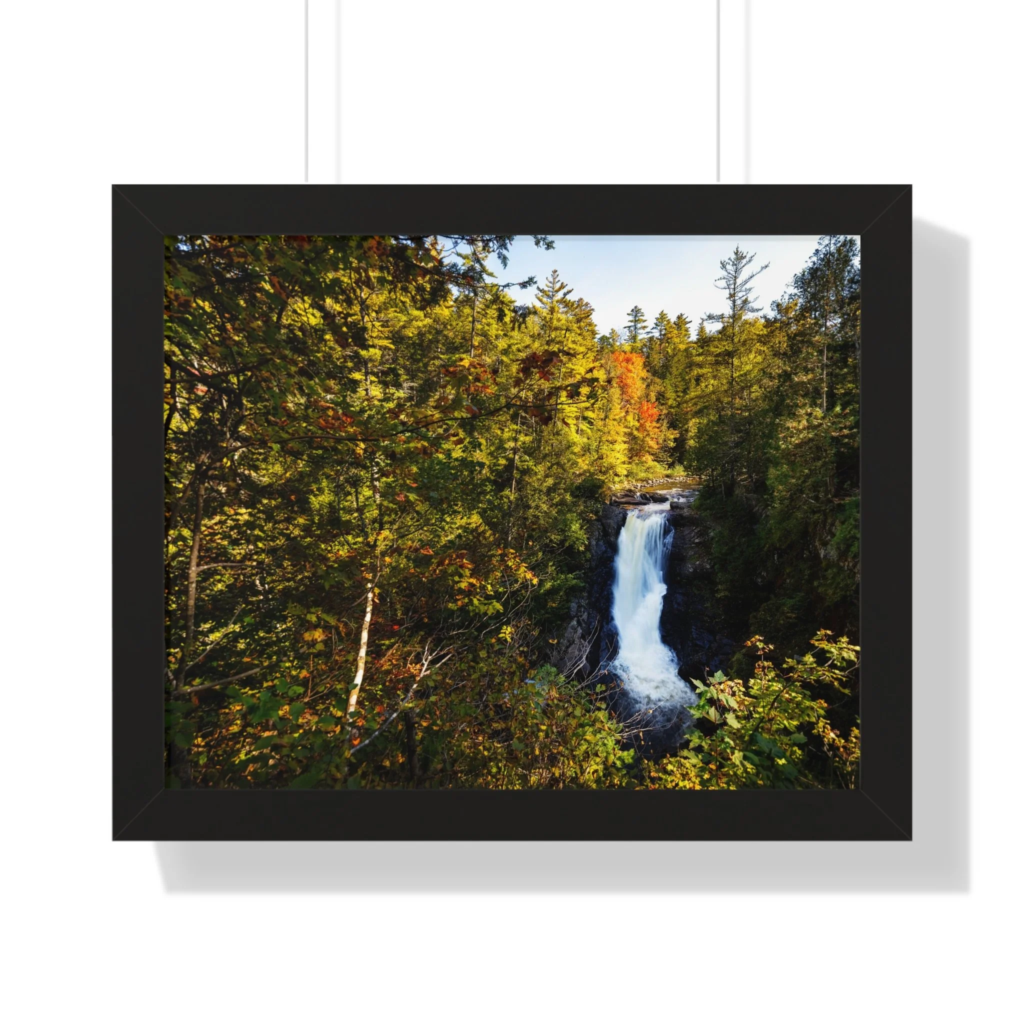 bd925e00909ad6ada7d47addb5a0e06a