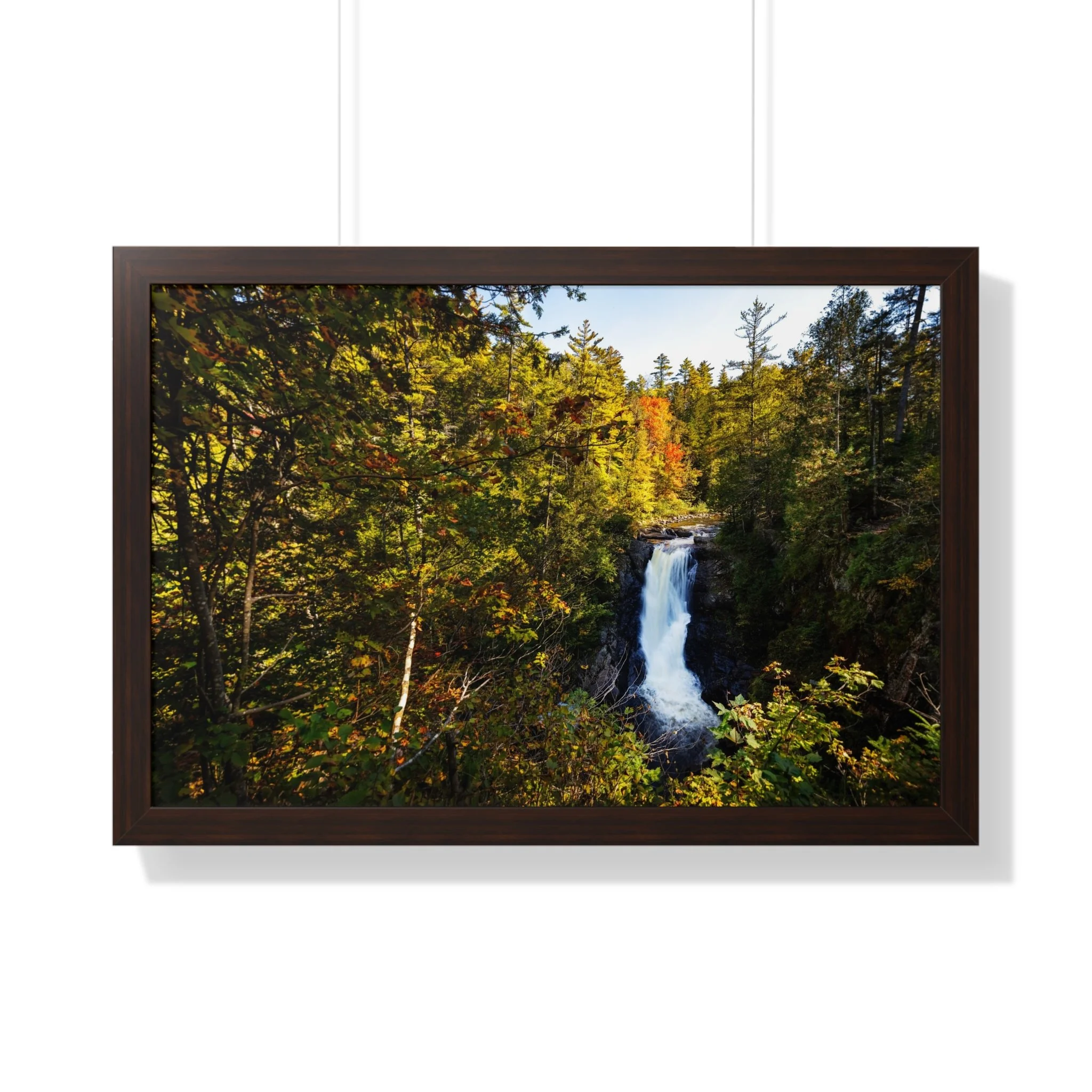 543f8a8e2cc1a30d9eda5ade913fbcfd