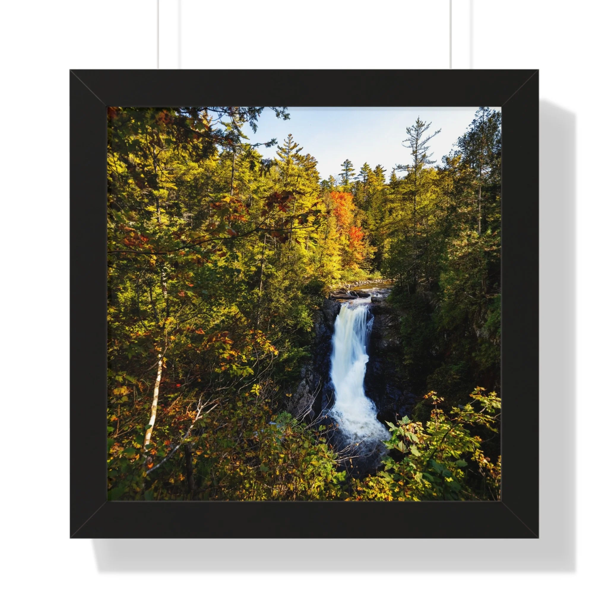 fdfe849d247b12fe5464ec28a4daae93