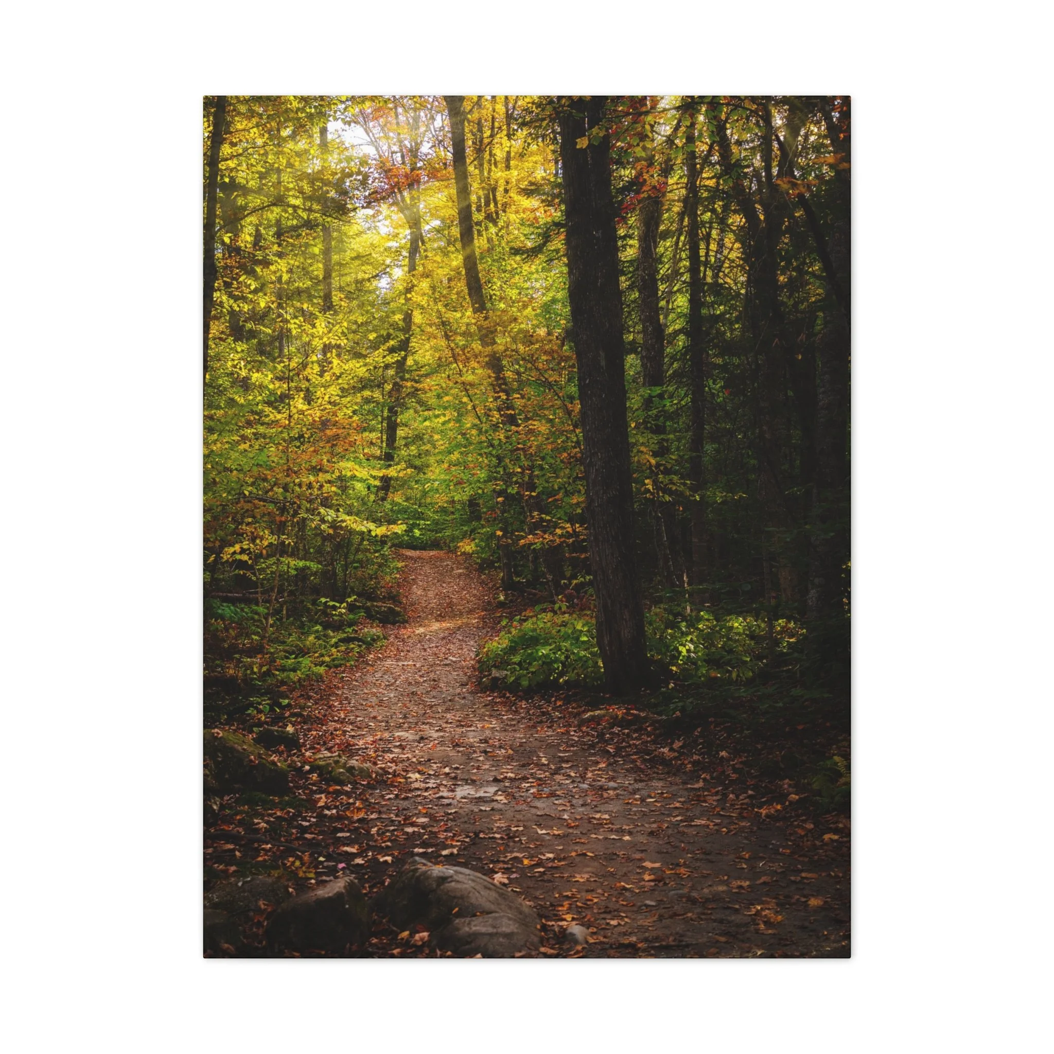 5bcf07e8aef6271b554fc4a796723c6d