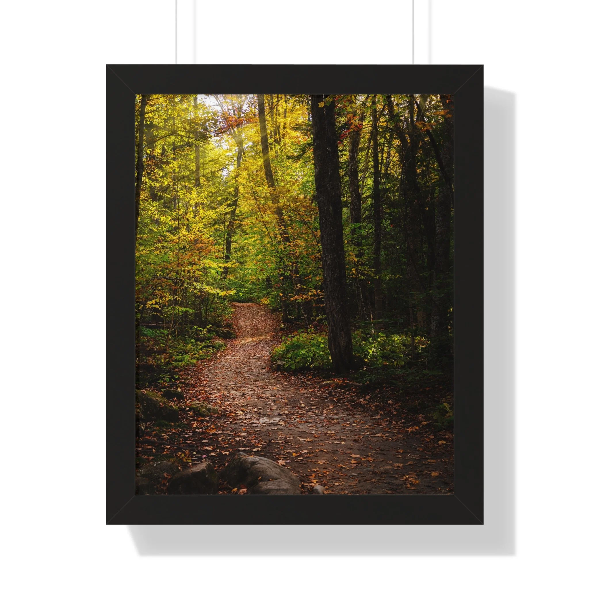 8f1dd8692d18bda372423f254f83ca29