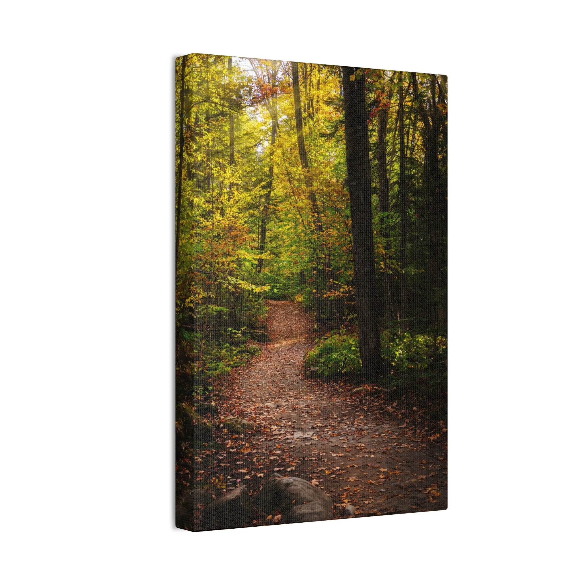 ecc4de112238b9e0d5fe23a4e760afac