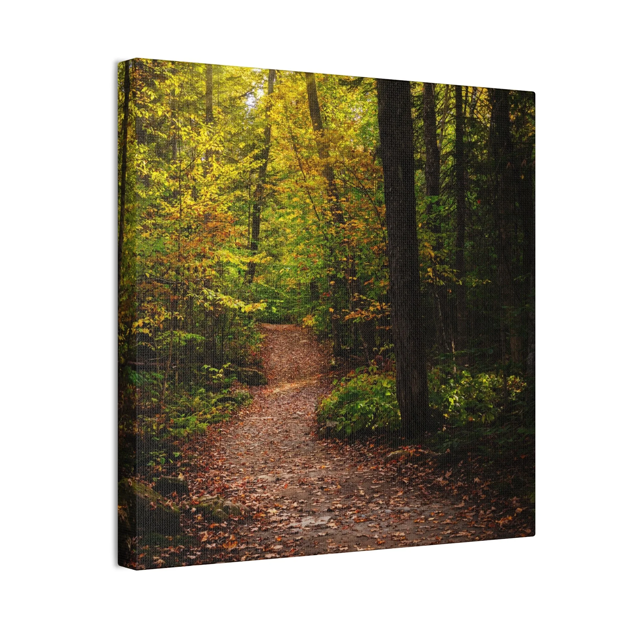 8d4b683b03c8e4b2748adbf82d97c030