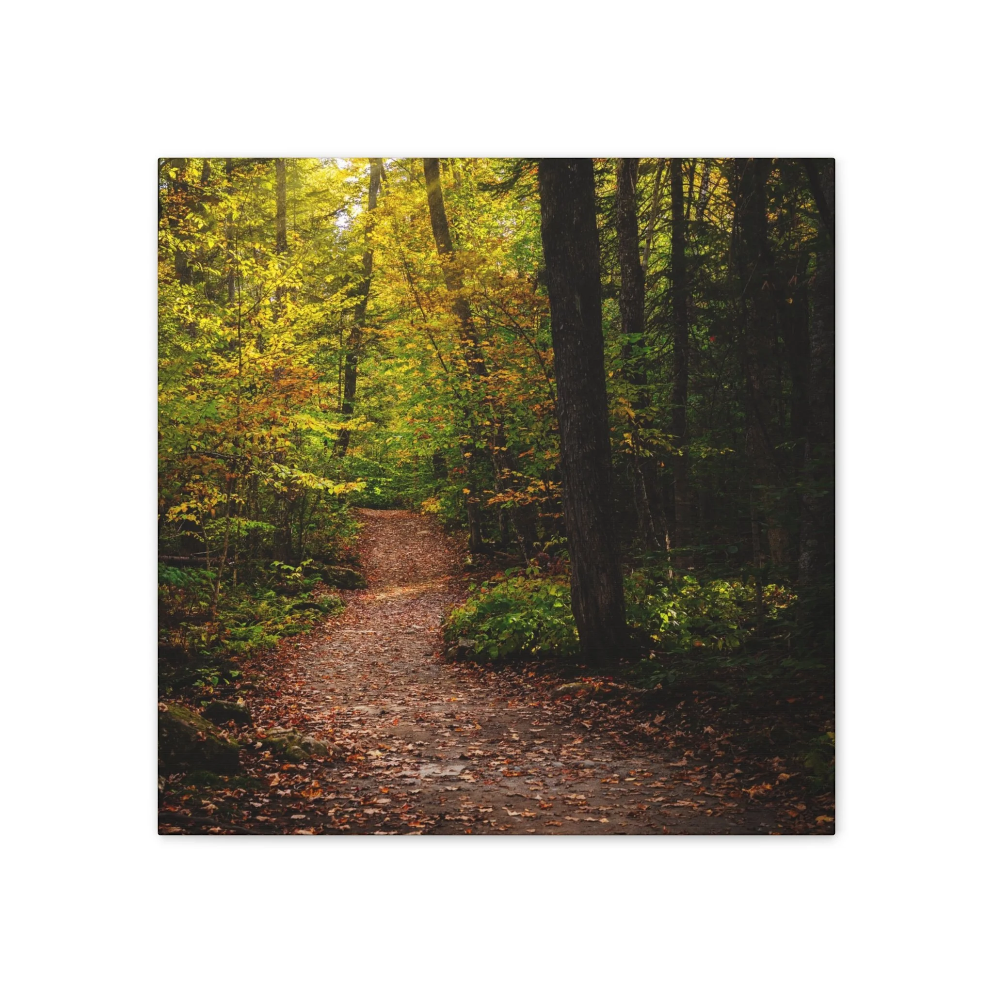 e783092f71189d308987caa1a09fbe62