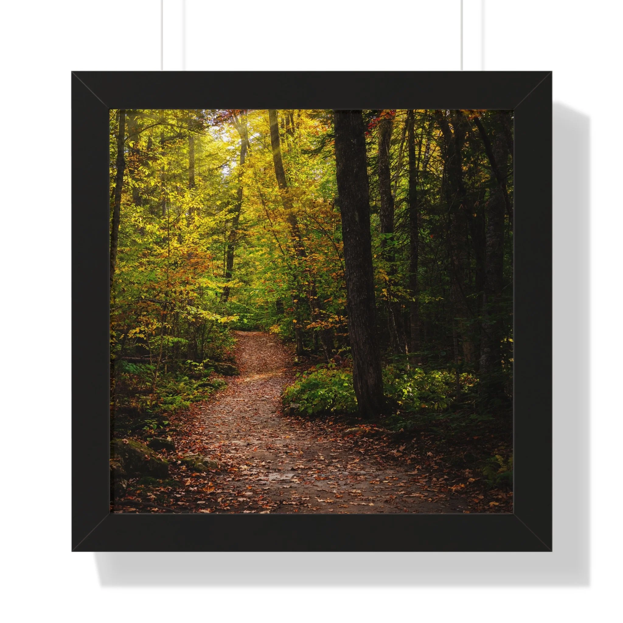 af34f26cc108135cf43e7f1e57a531a9