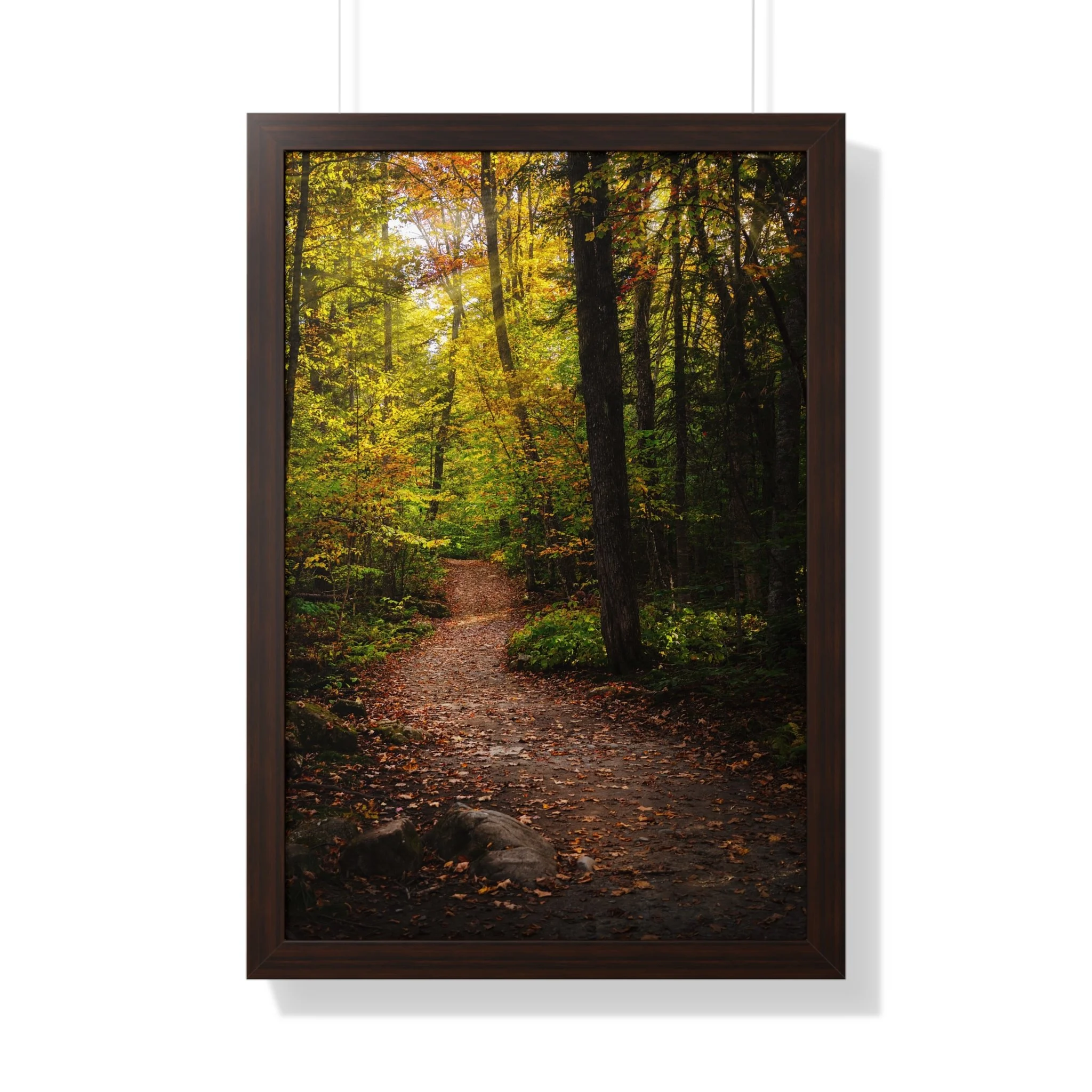 8b4575d7a3ab1bccf25a2168a301aed5