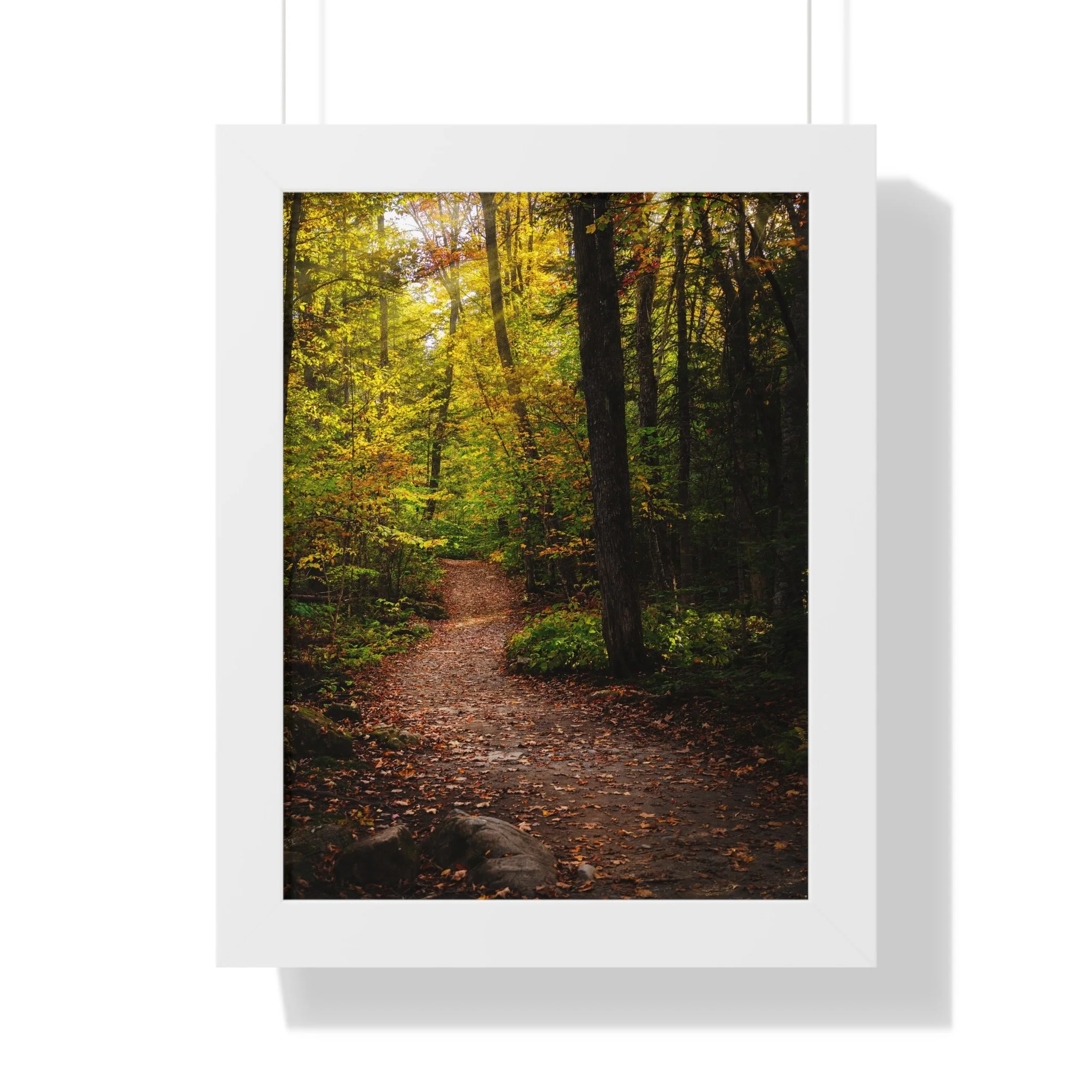 a86fb9238f125a150dc41a1c02bb6eb4