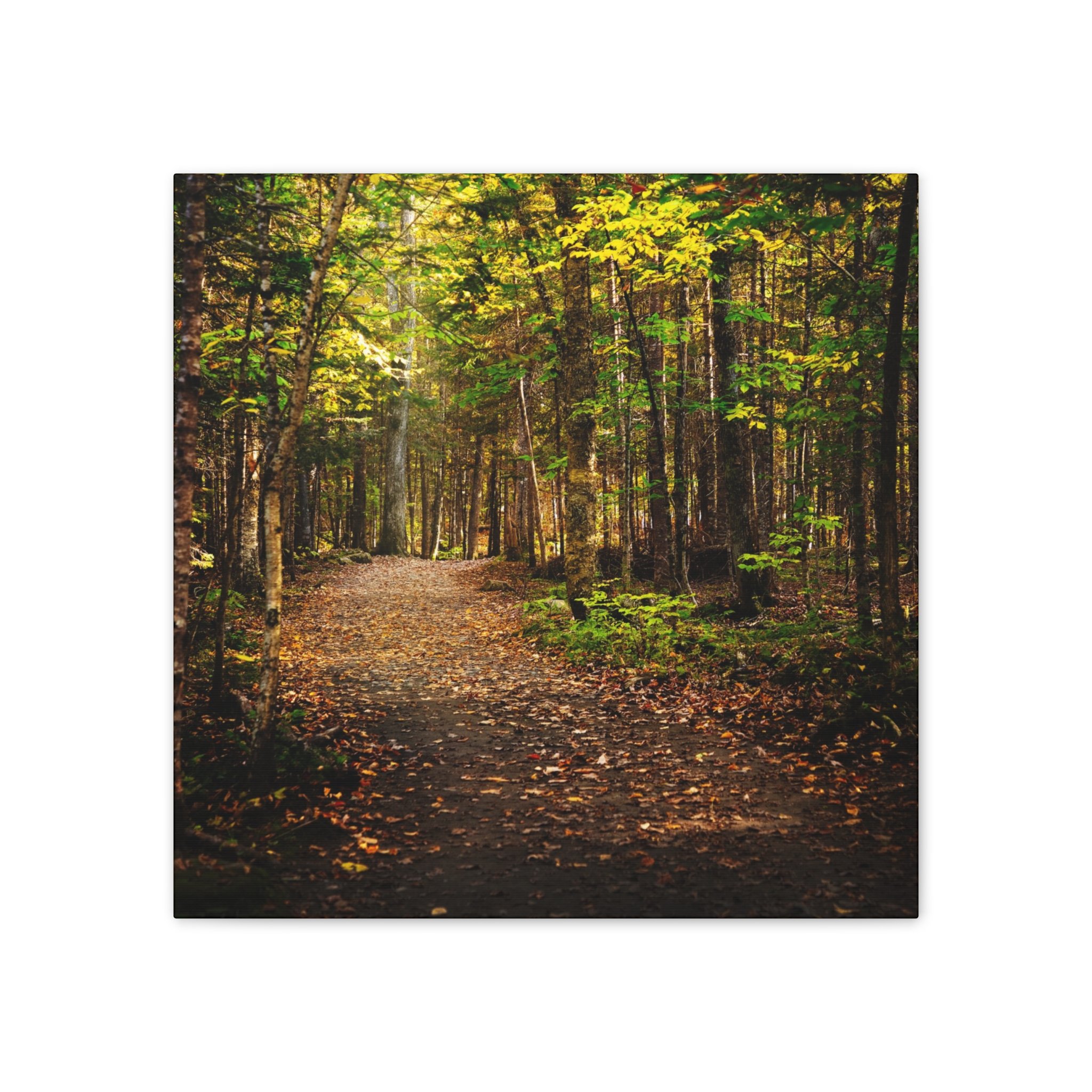 b7a7dfdb7b760edd5bfdd64931064e89