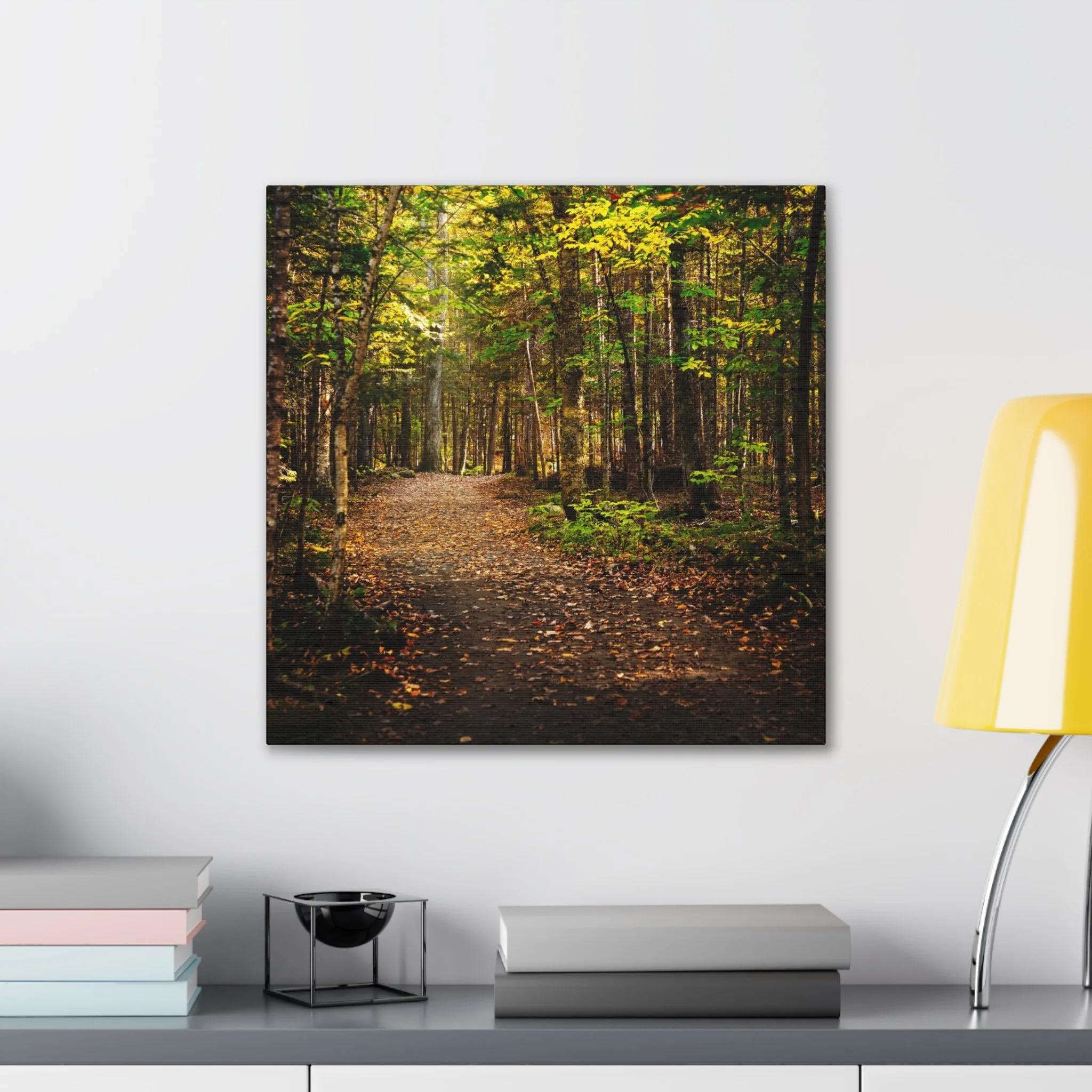 761ed44ce095691ac186407f0fc46ce2