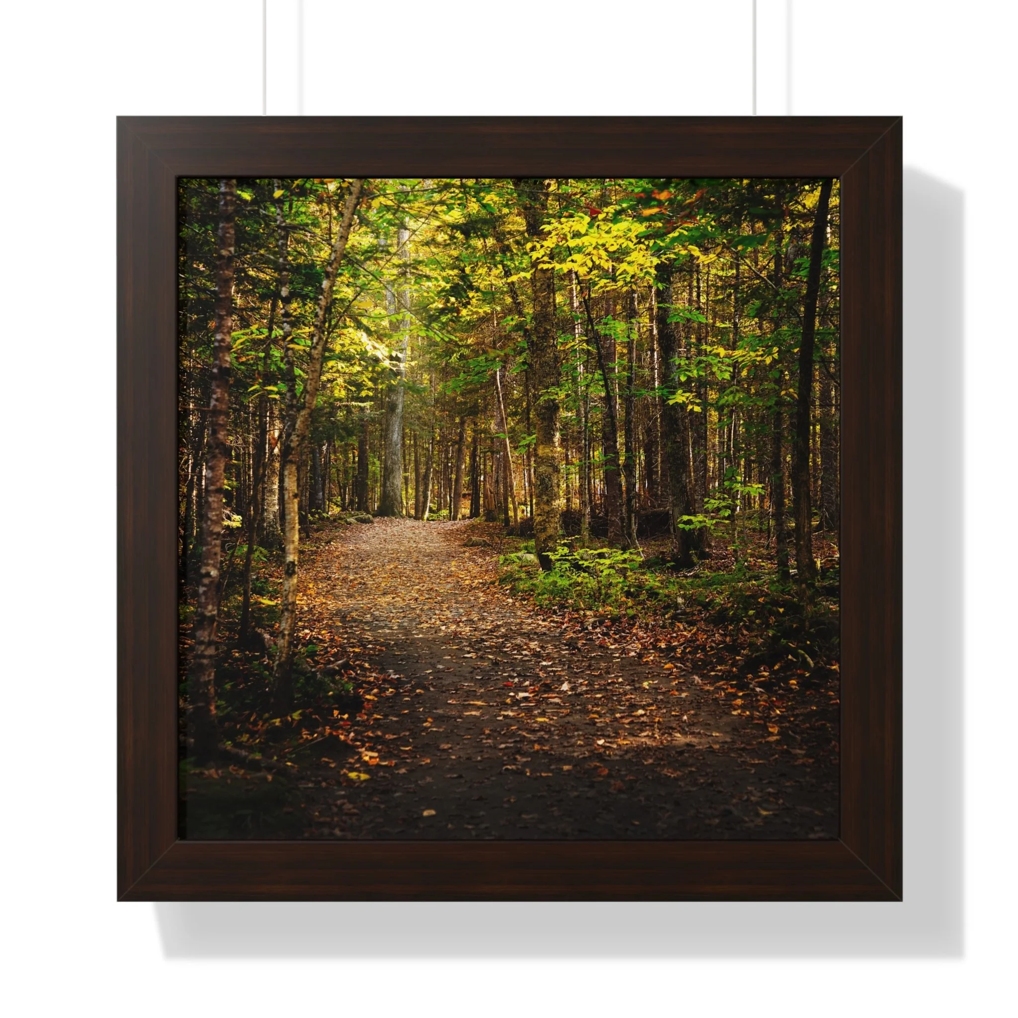 6f1a58b8518a6d7d728e29e195fb02f6