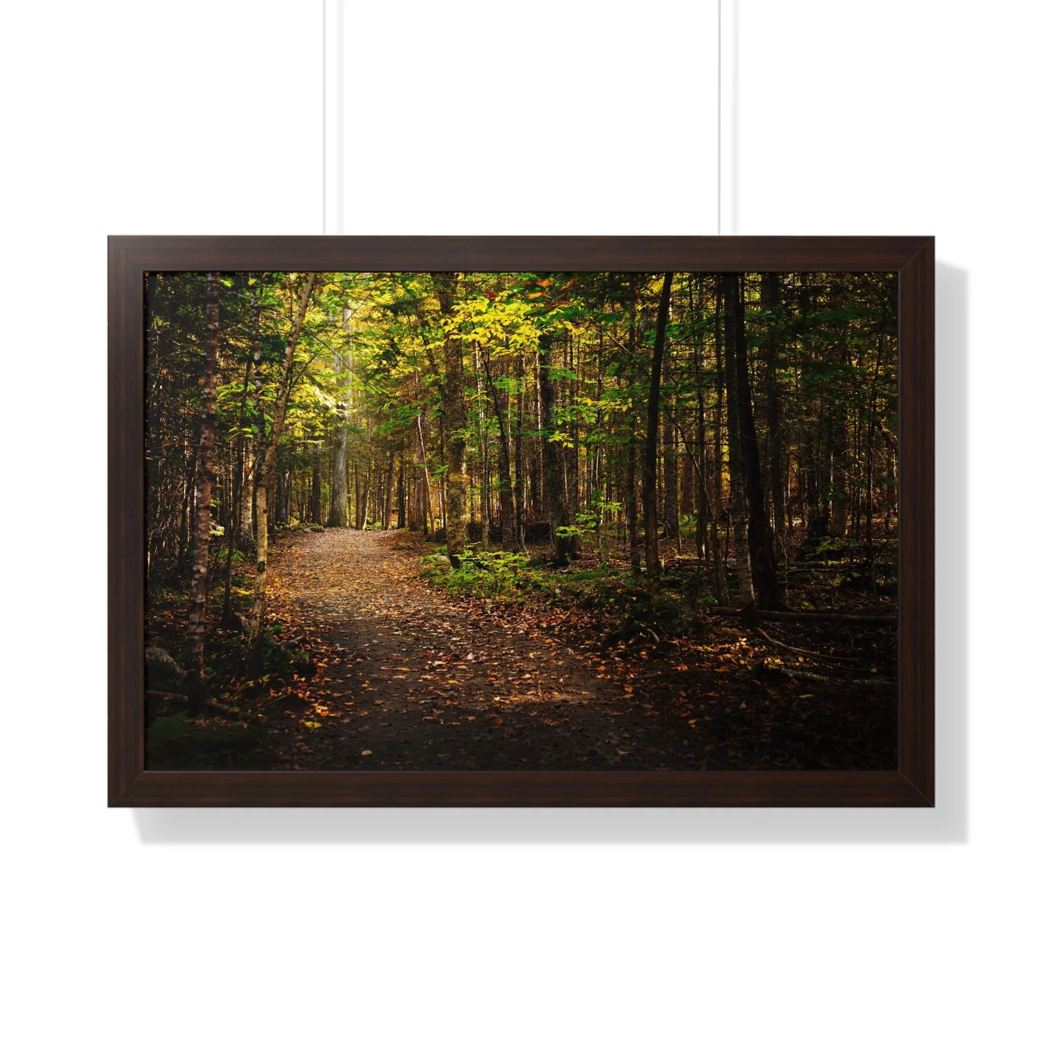 cec5779980e81c72a549daa92516d04c