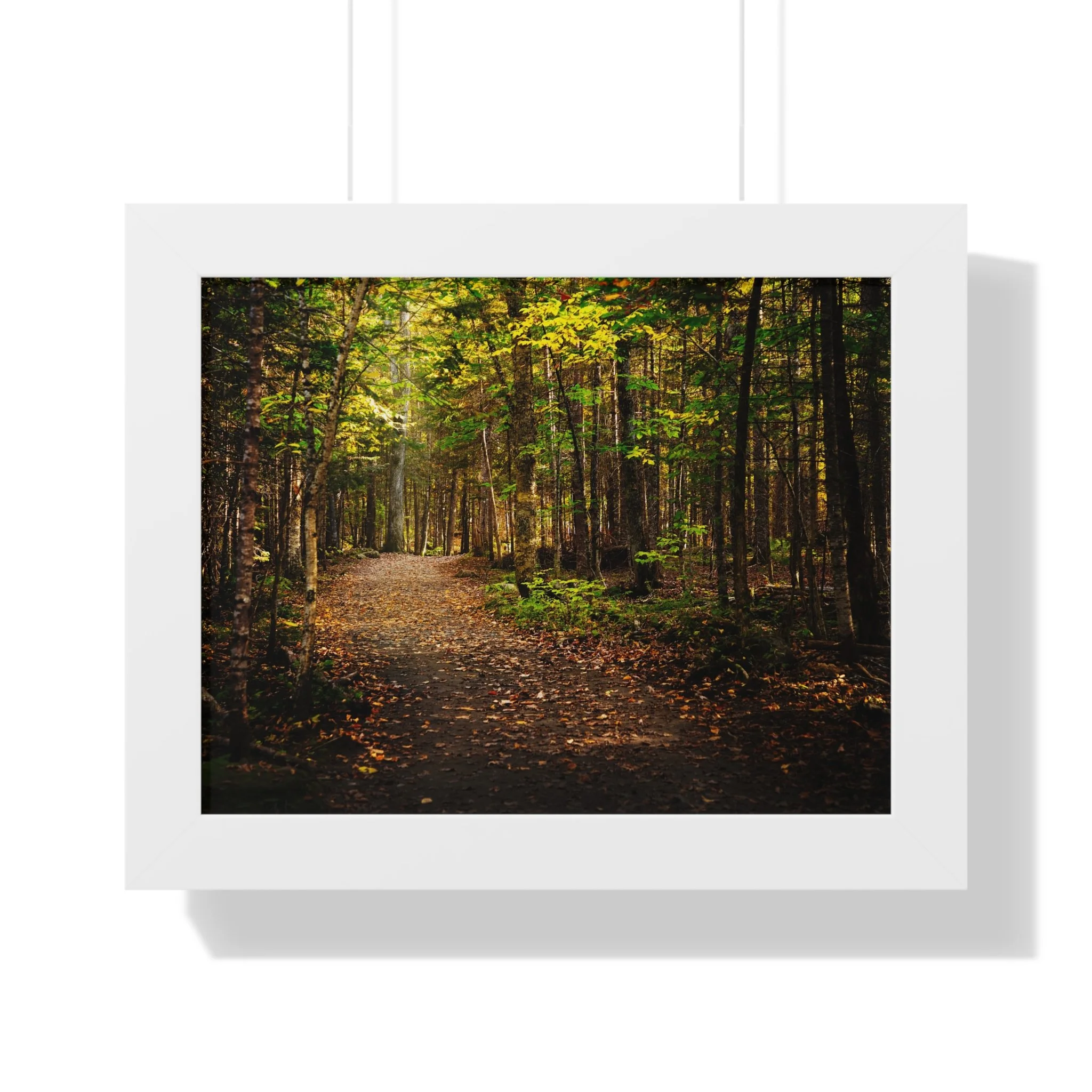 a9de6fbfdb8ecf5ac316c4cac08a8851