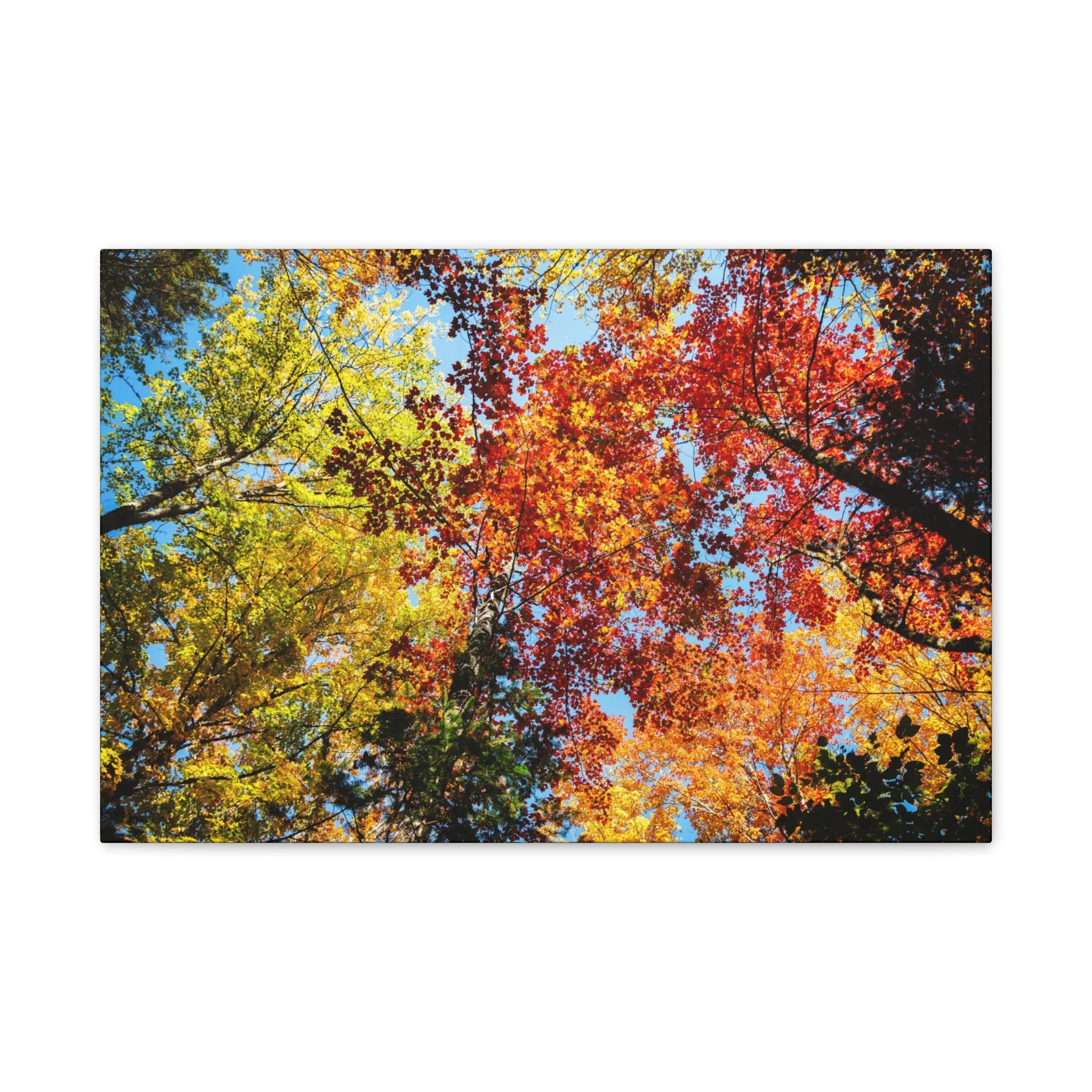 03a1b21a76b5a3dcac0c36be8889ee8a