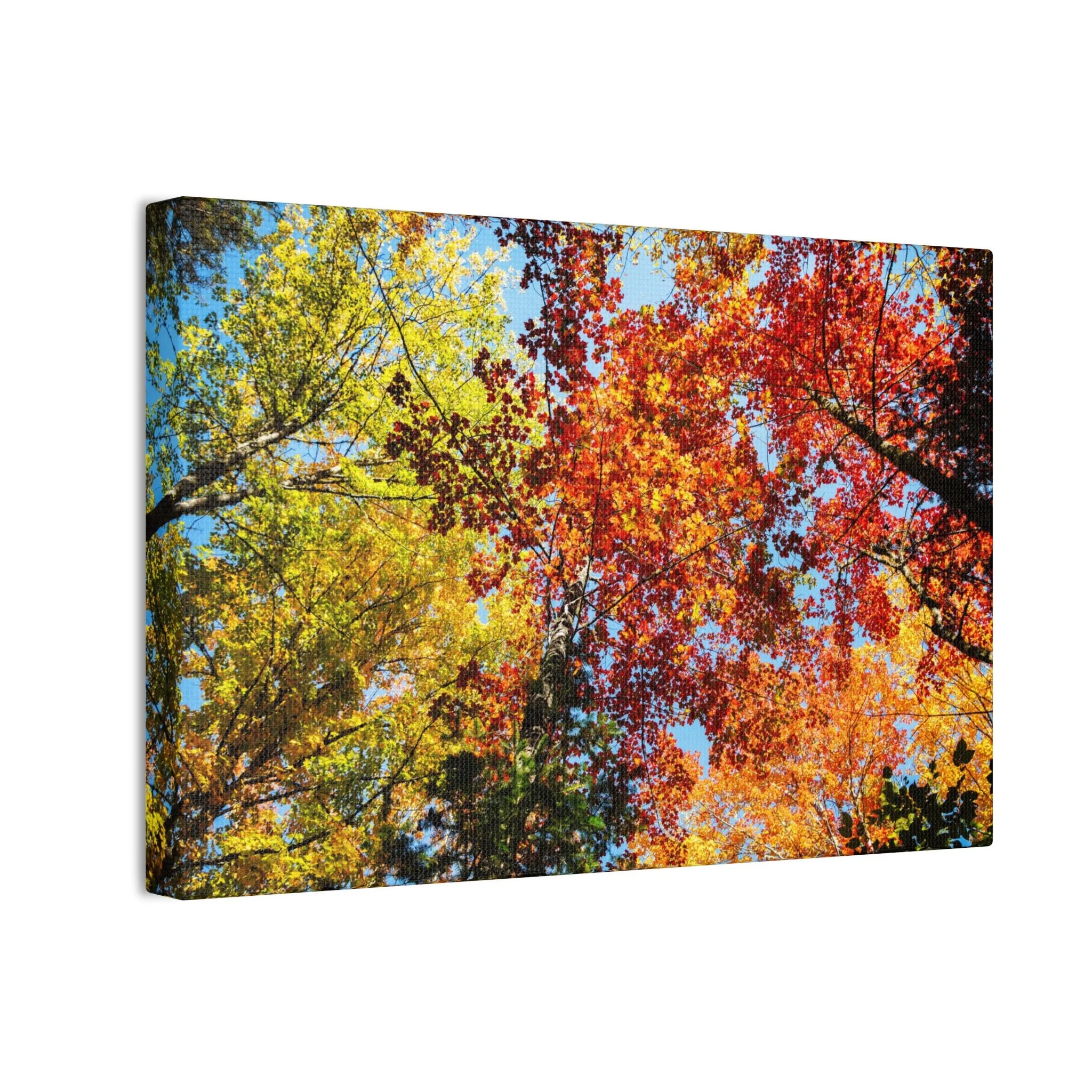 891b79b6016e428f1e7ef548913999c6