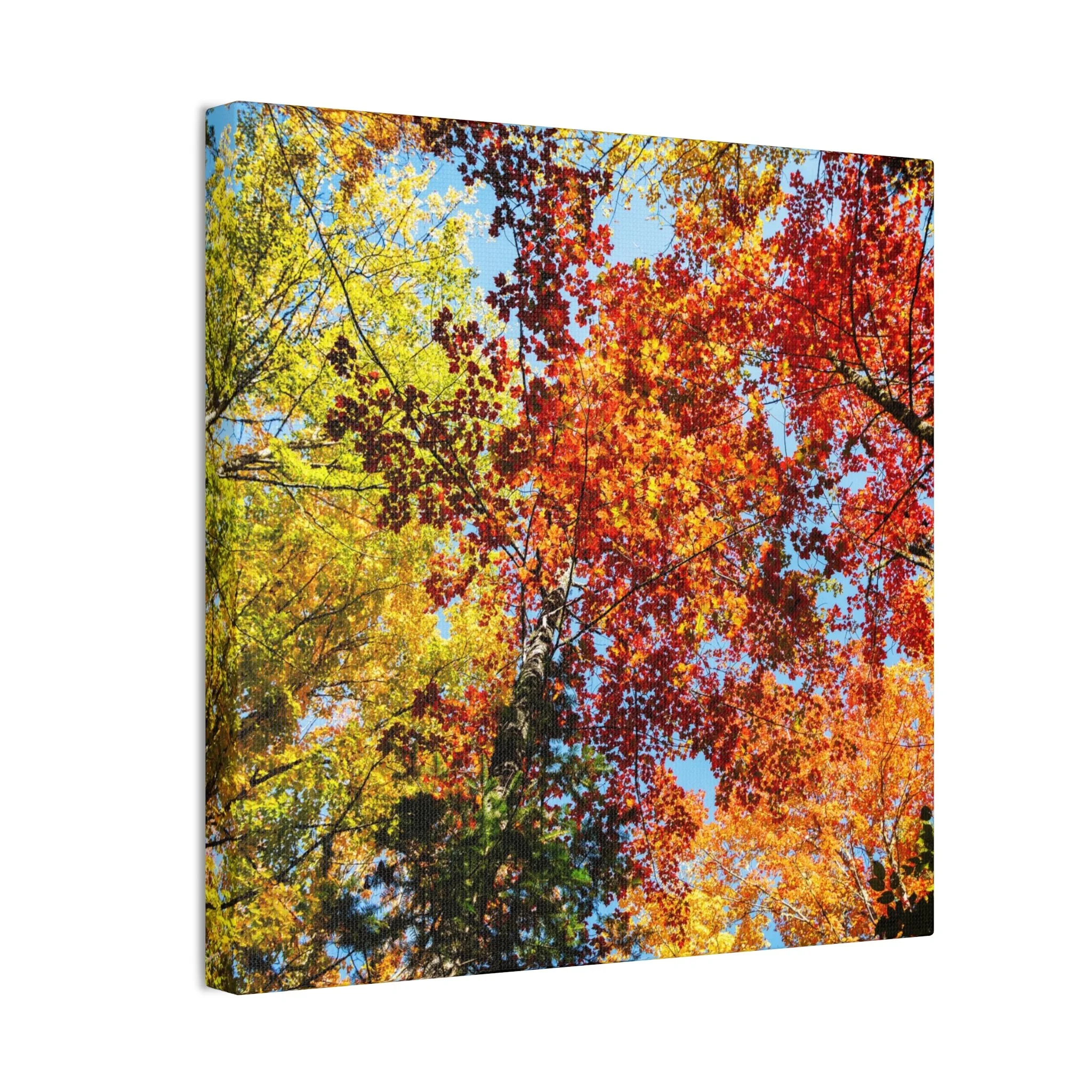 36fbdca5dc46d1fc6e0dbc7941341f7a