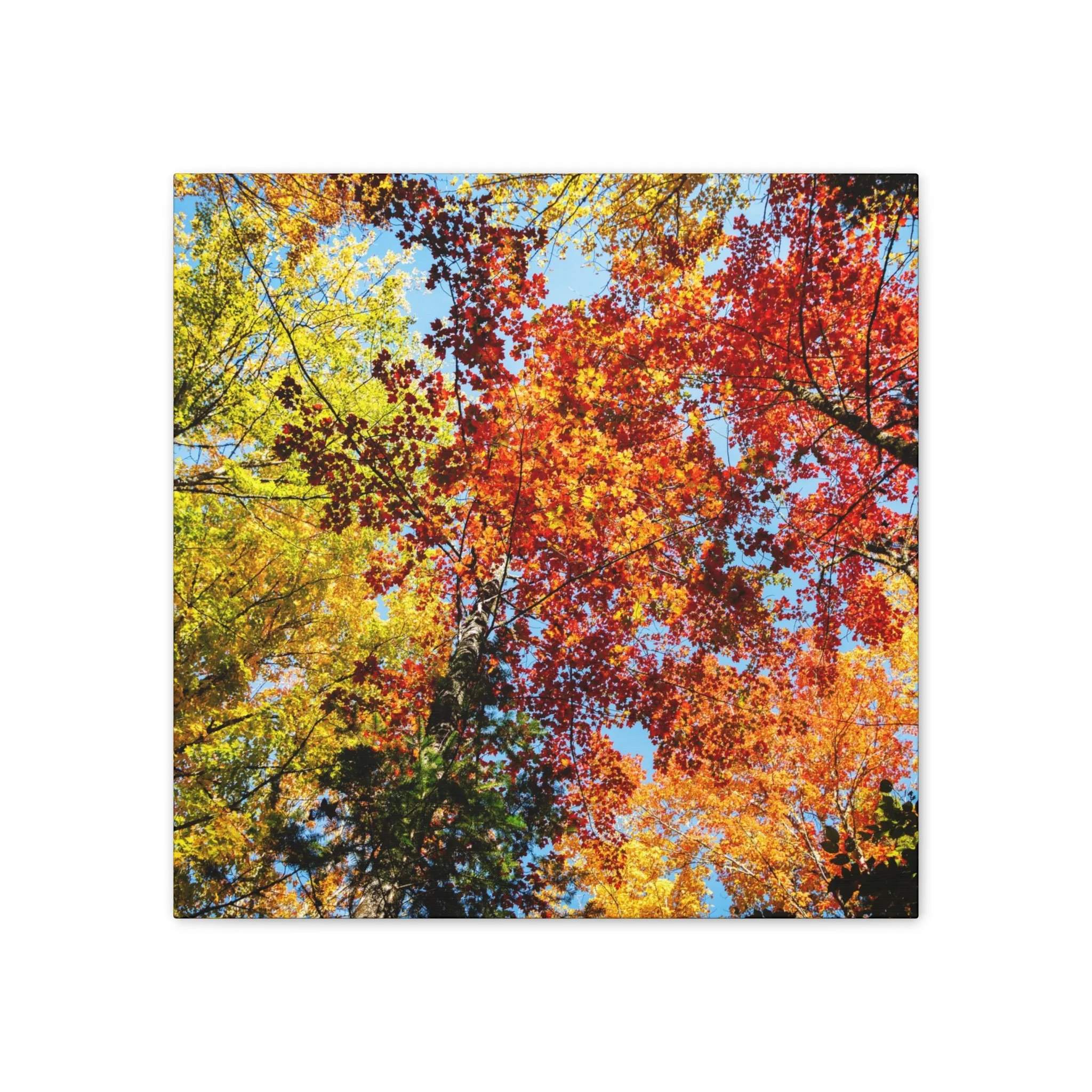 1204fc5b05fe653ad0c0903b7320f8e7