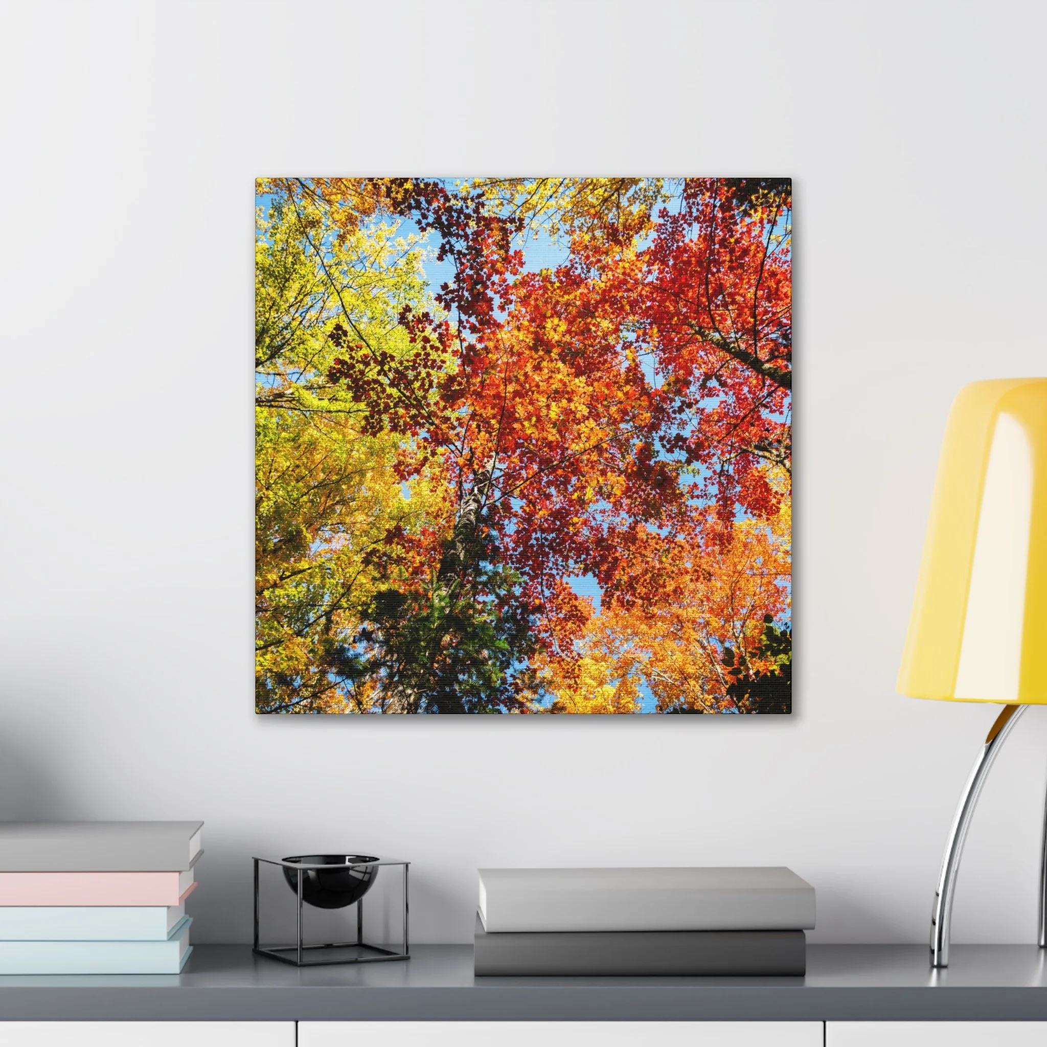 44c5a7eb72b8a1f05d943a4d56c66e27