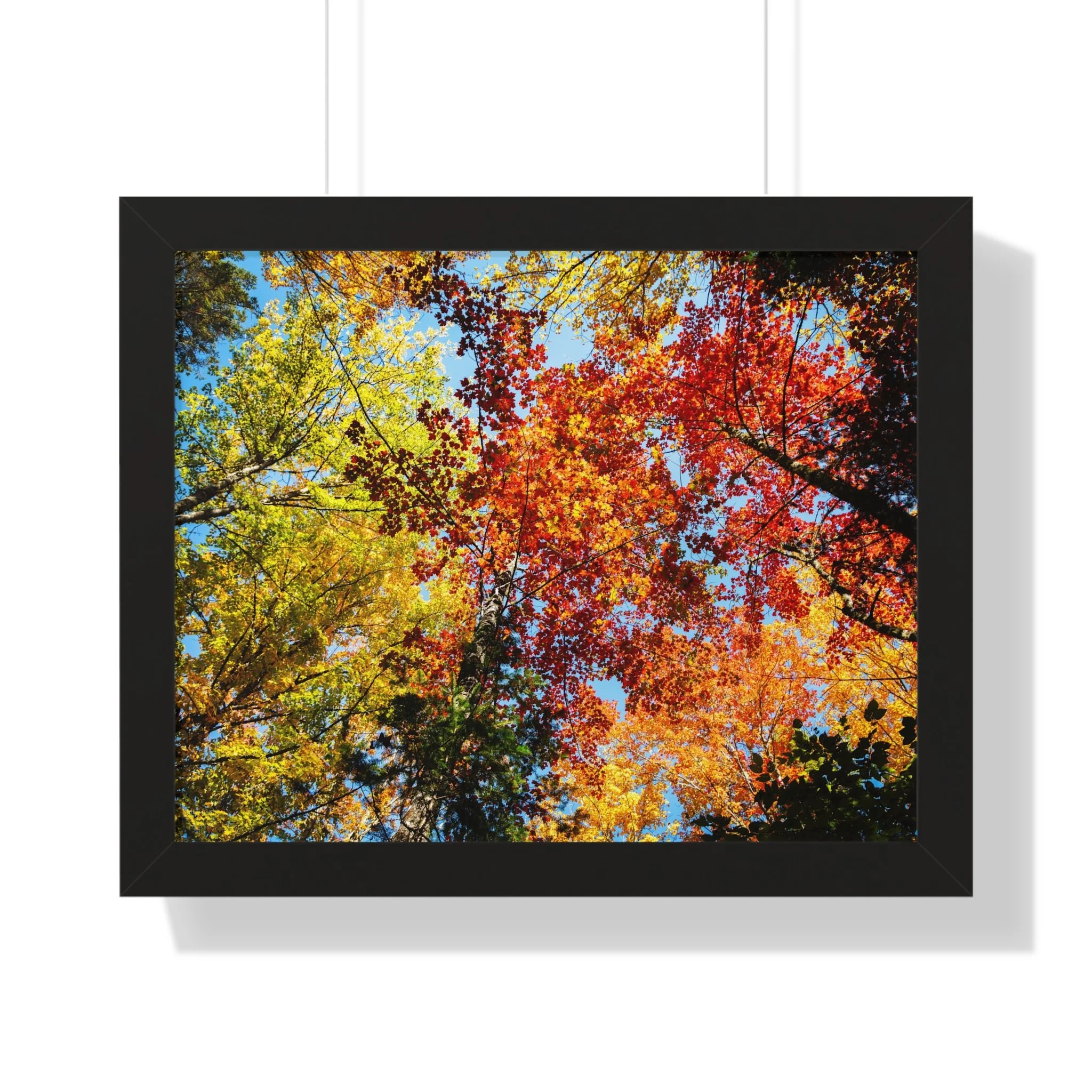 99fb242b600913312e7ca148d697163c