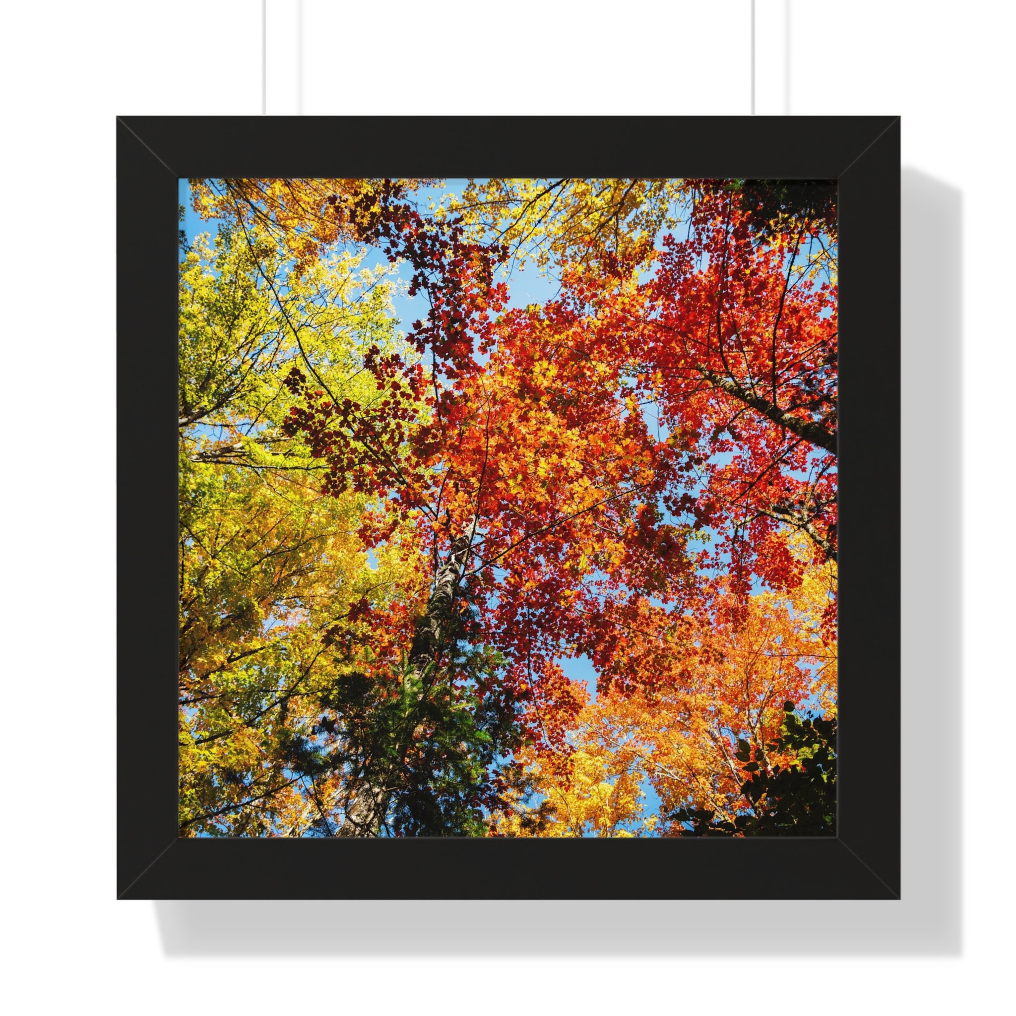 d8d17f2f9551ea966b445f2a44ba8684