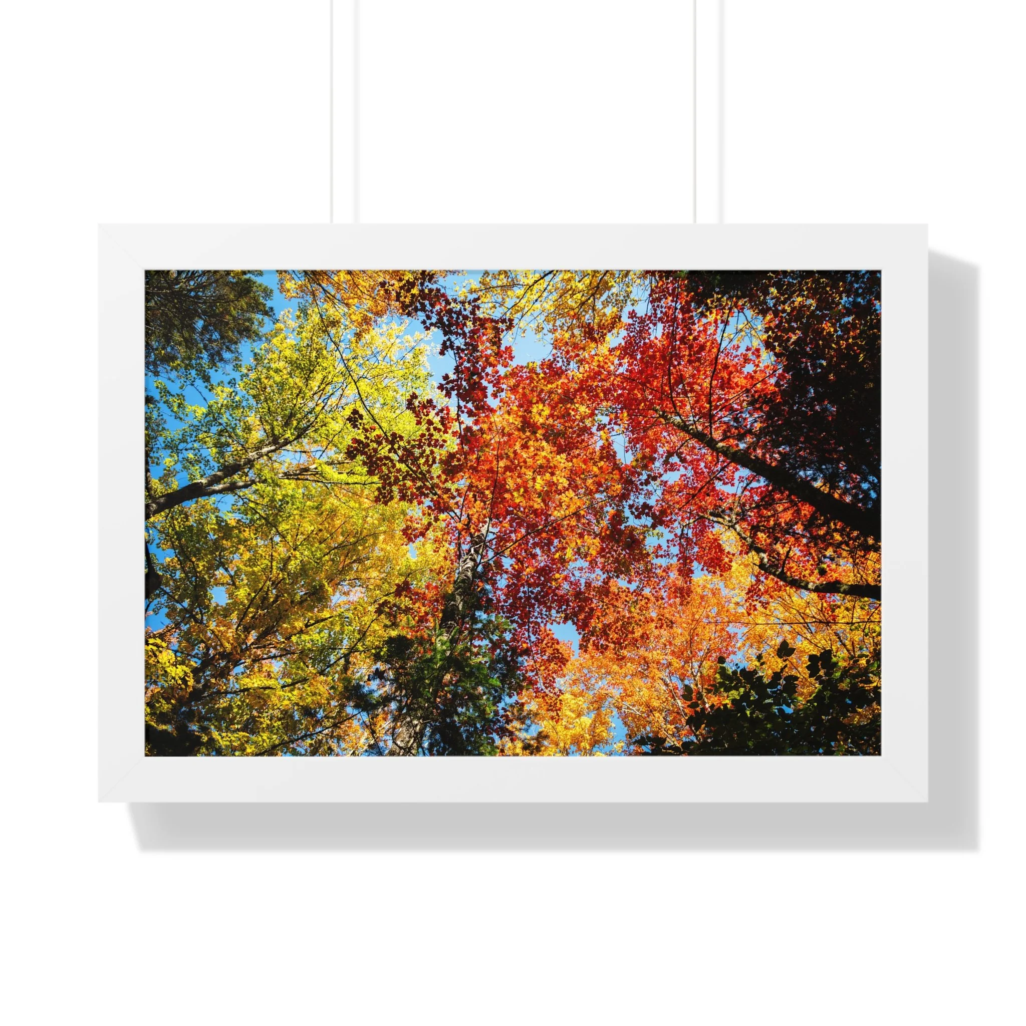 938585b417b6a51f41ec4f8923241392