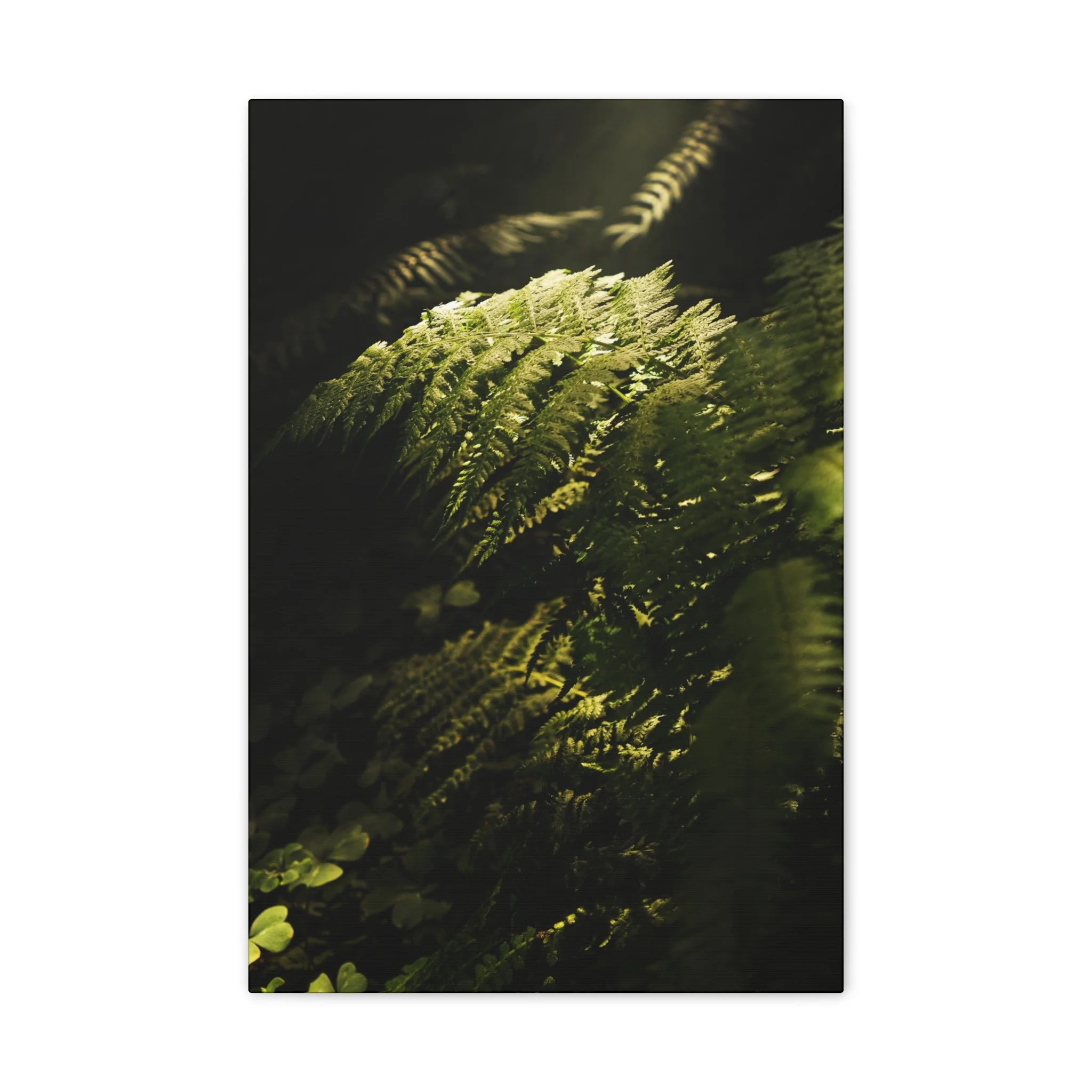 604b3e8dadabb21443718715c1e44cb6