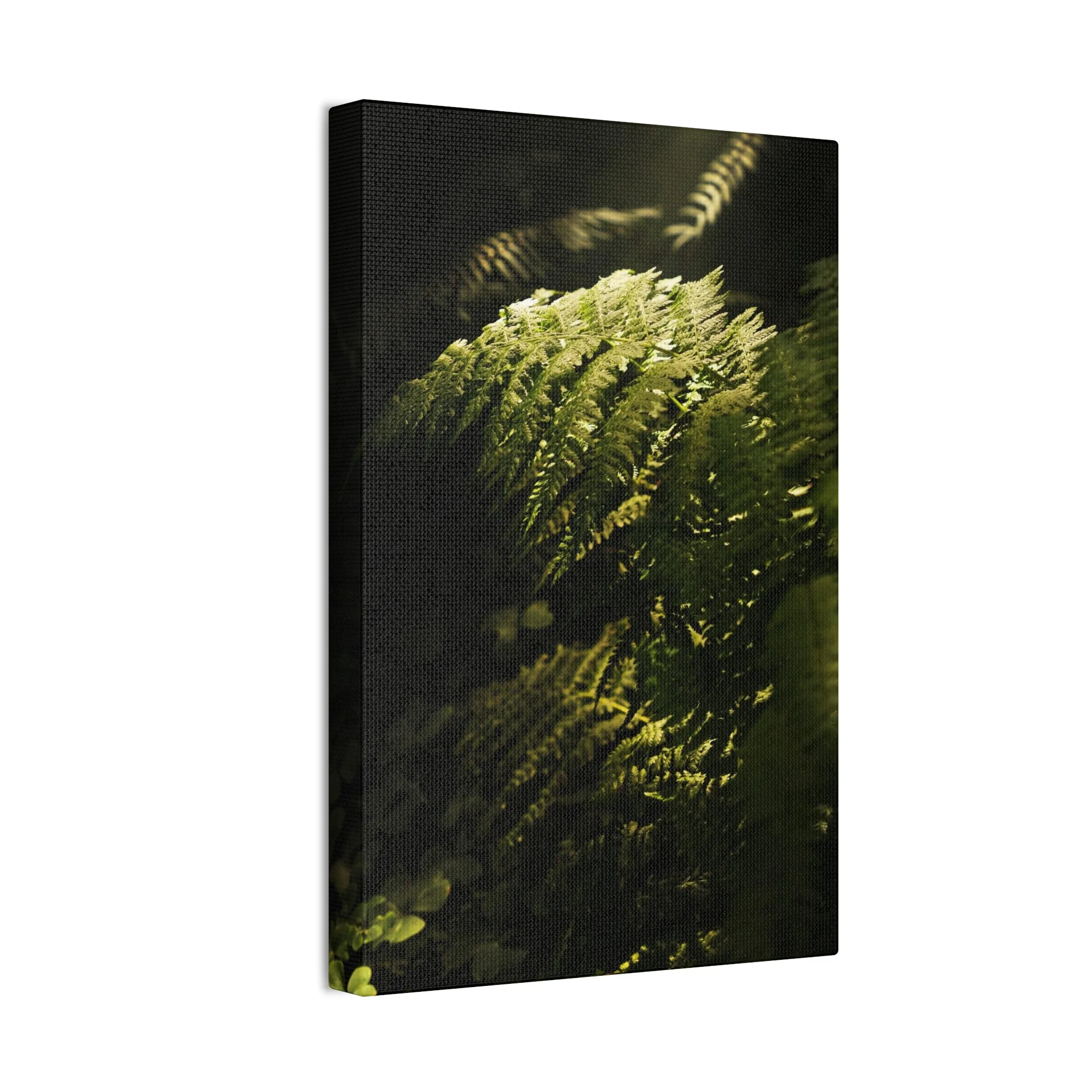 0be6915c49c22d9ce9c81a58bd76a42b