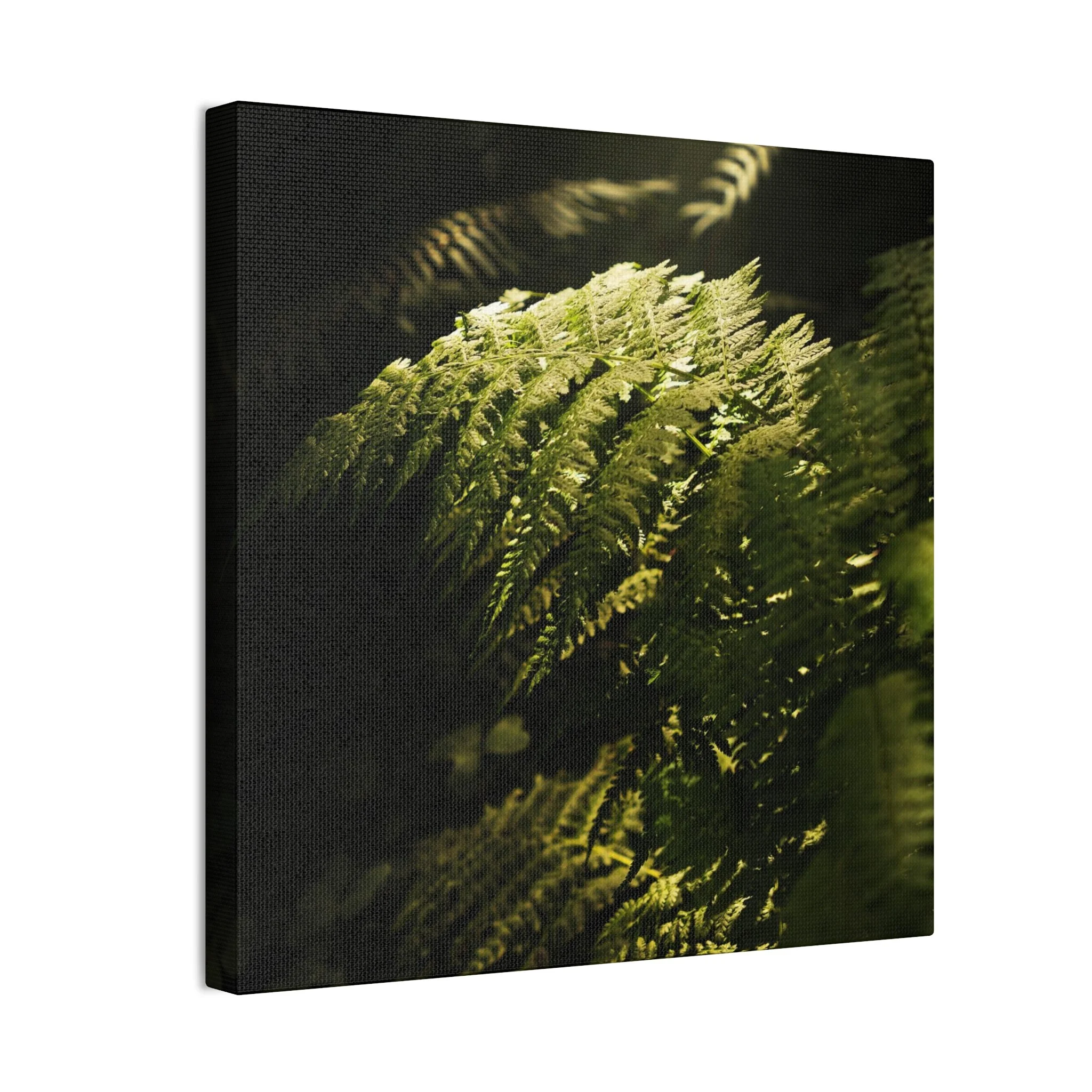 66449833e36674ed18981443041933c3