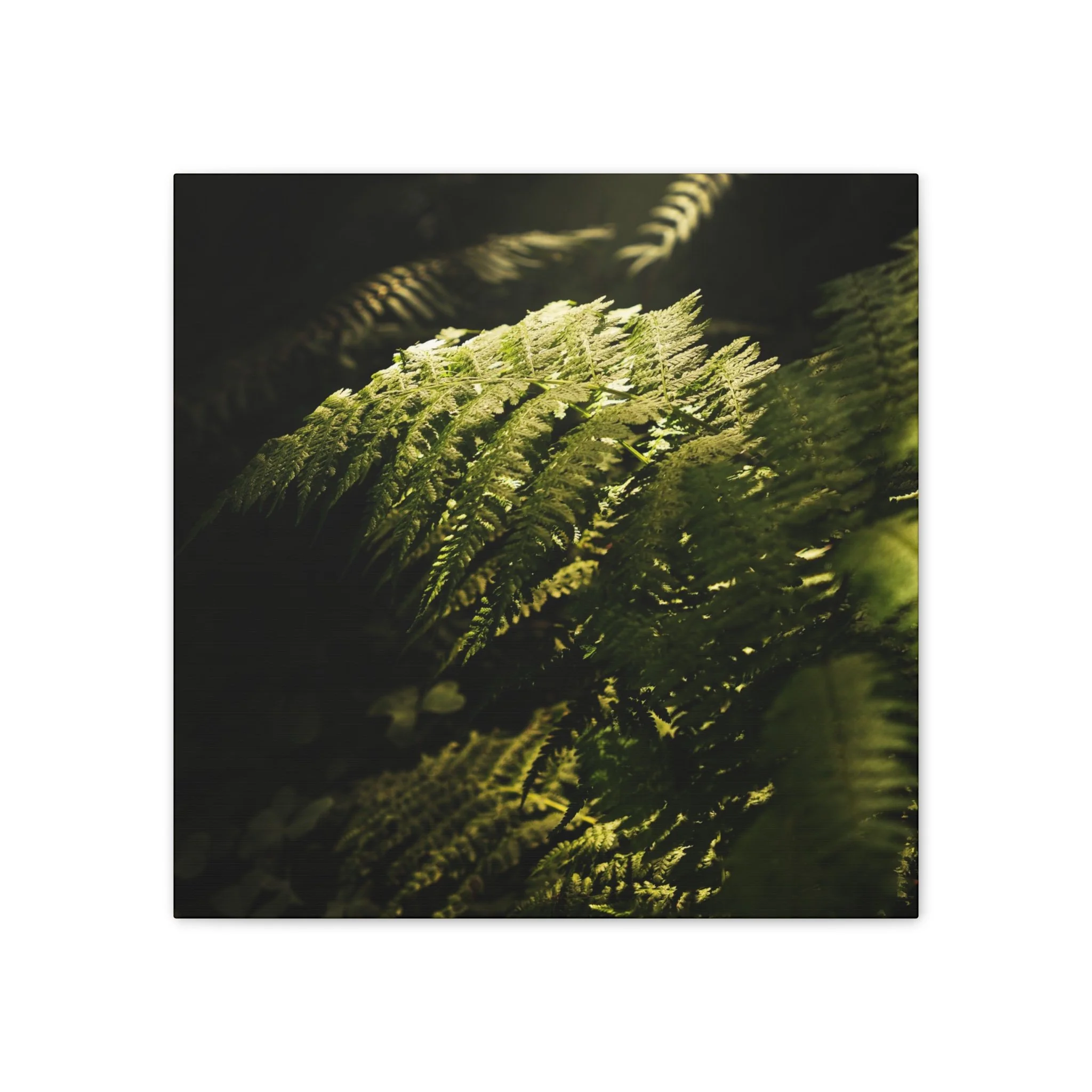 652131e664457e2af374e2c03ba83af3