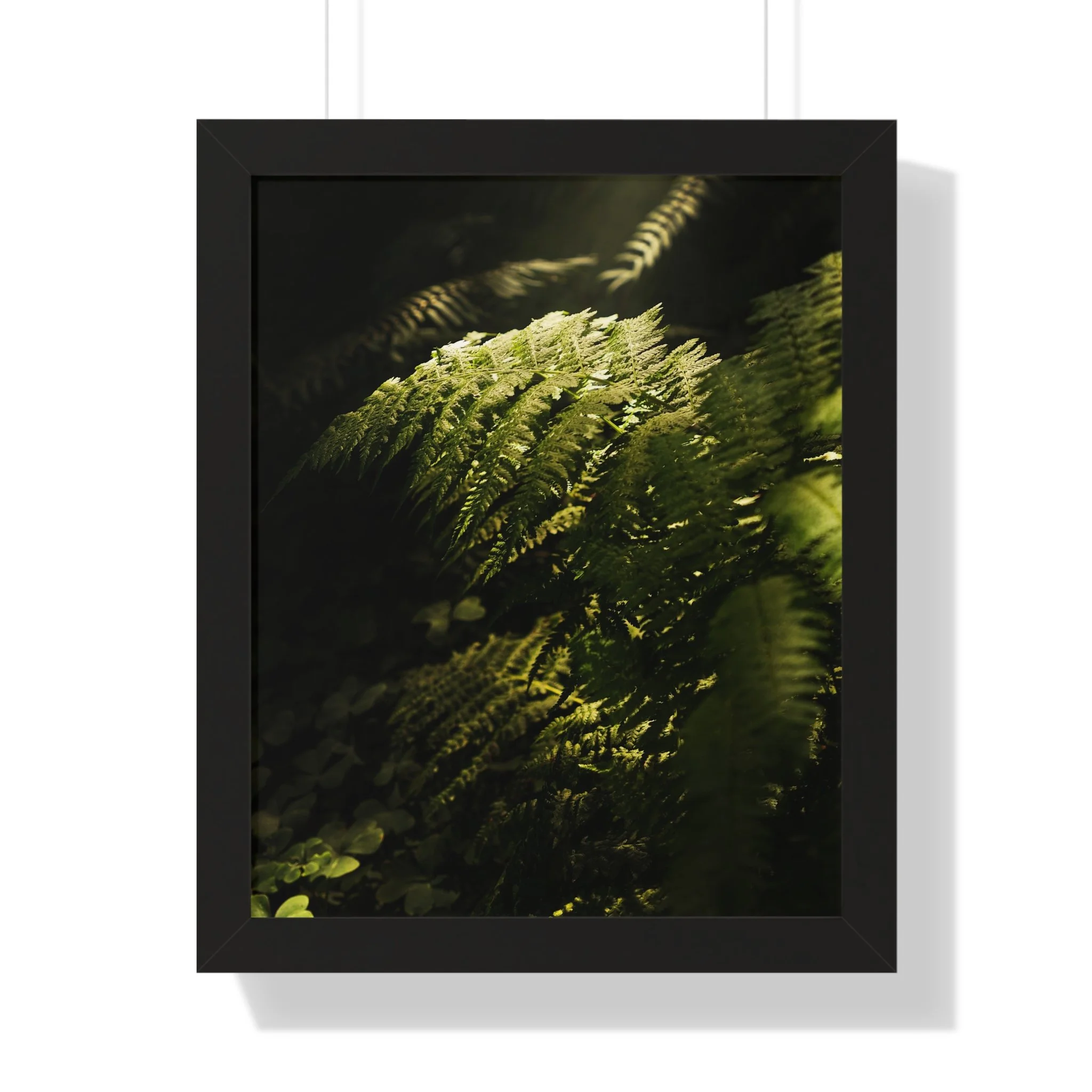 a52f650ec18375c3bae3668594f1ef31