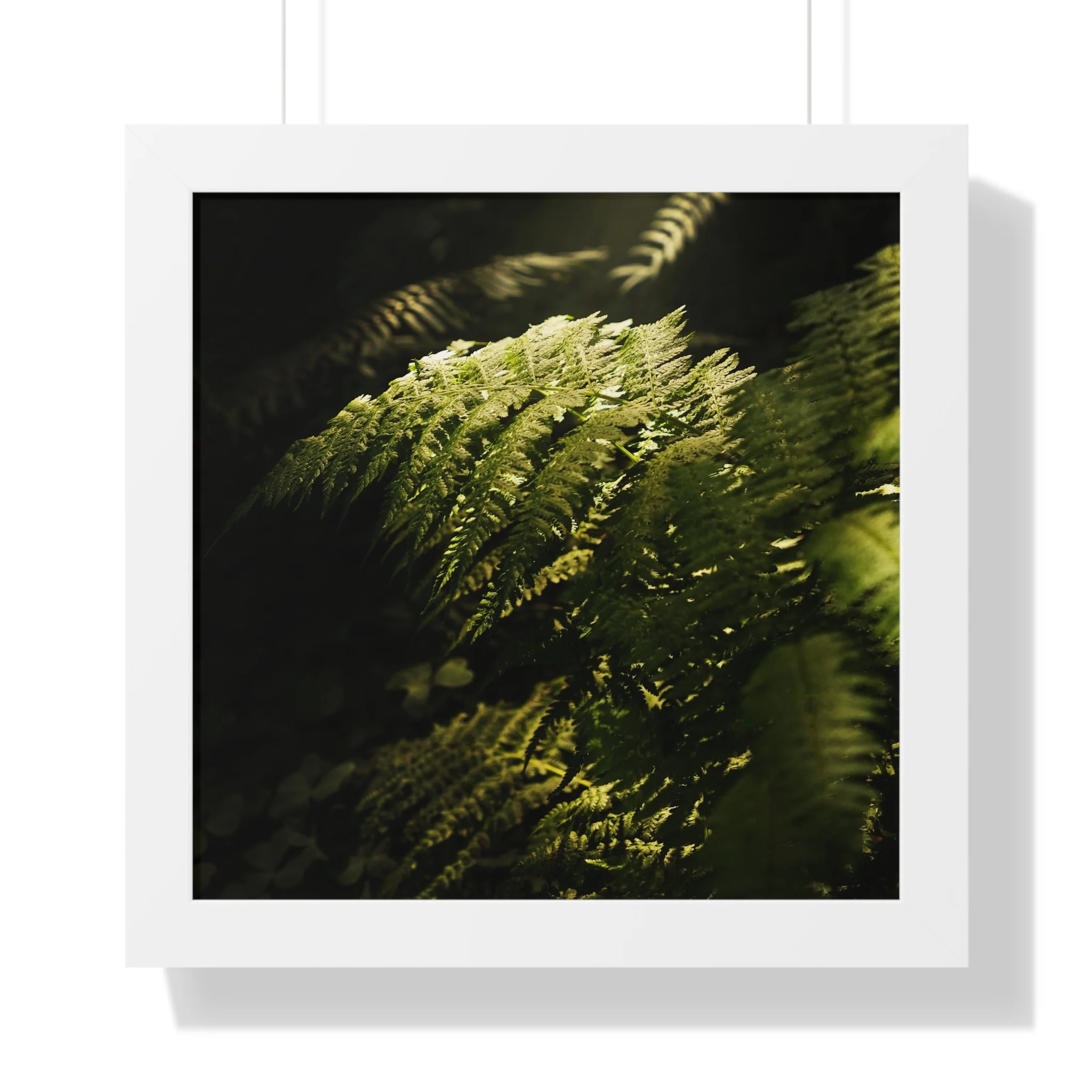 3894e2c30a18ecd3827f201fecd0dae9