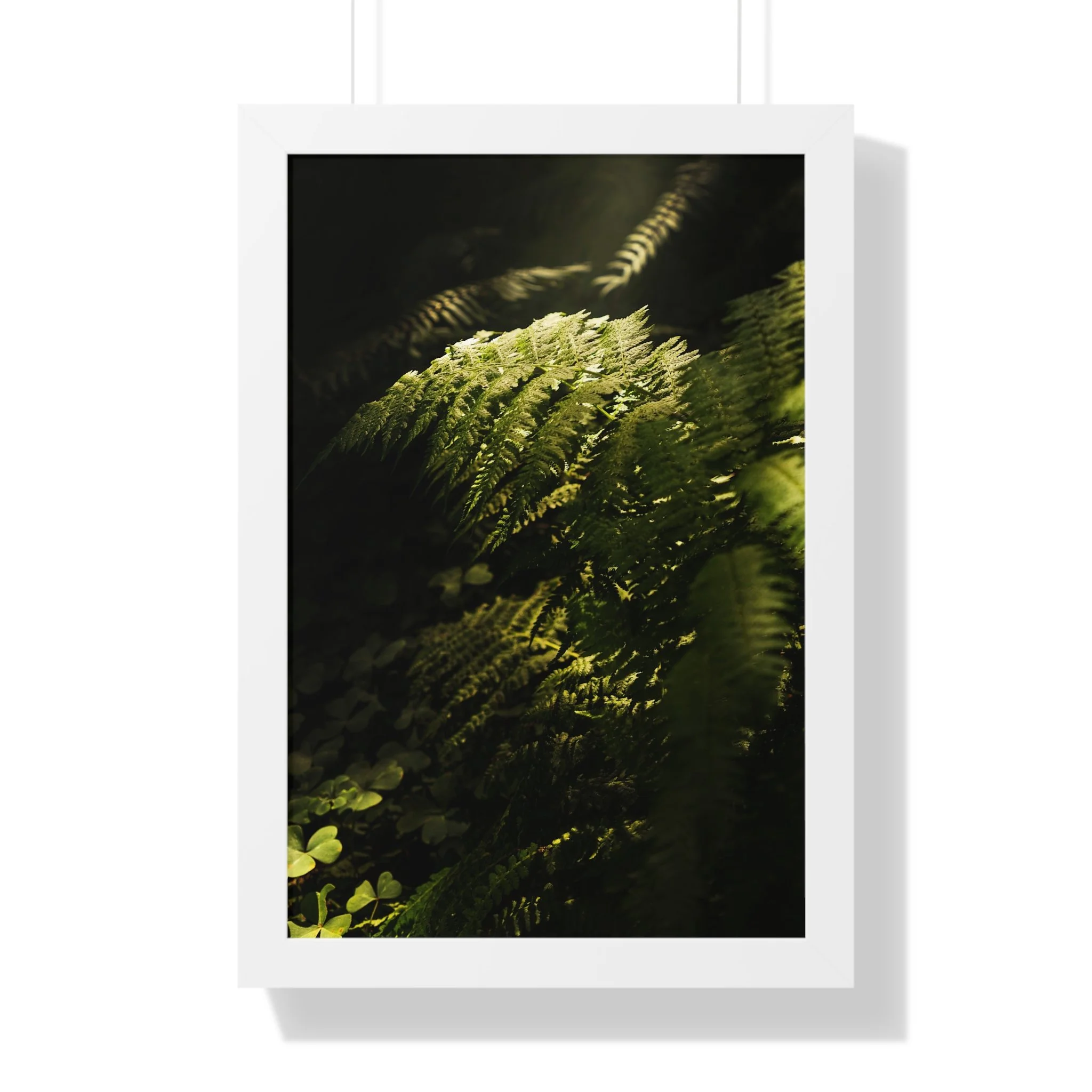 5bf65f4ea2a9c7f1d68a691f4922caa7