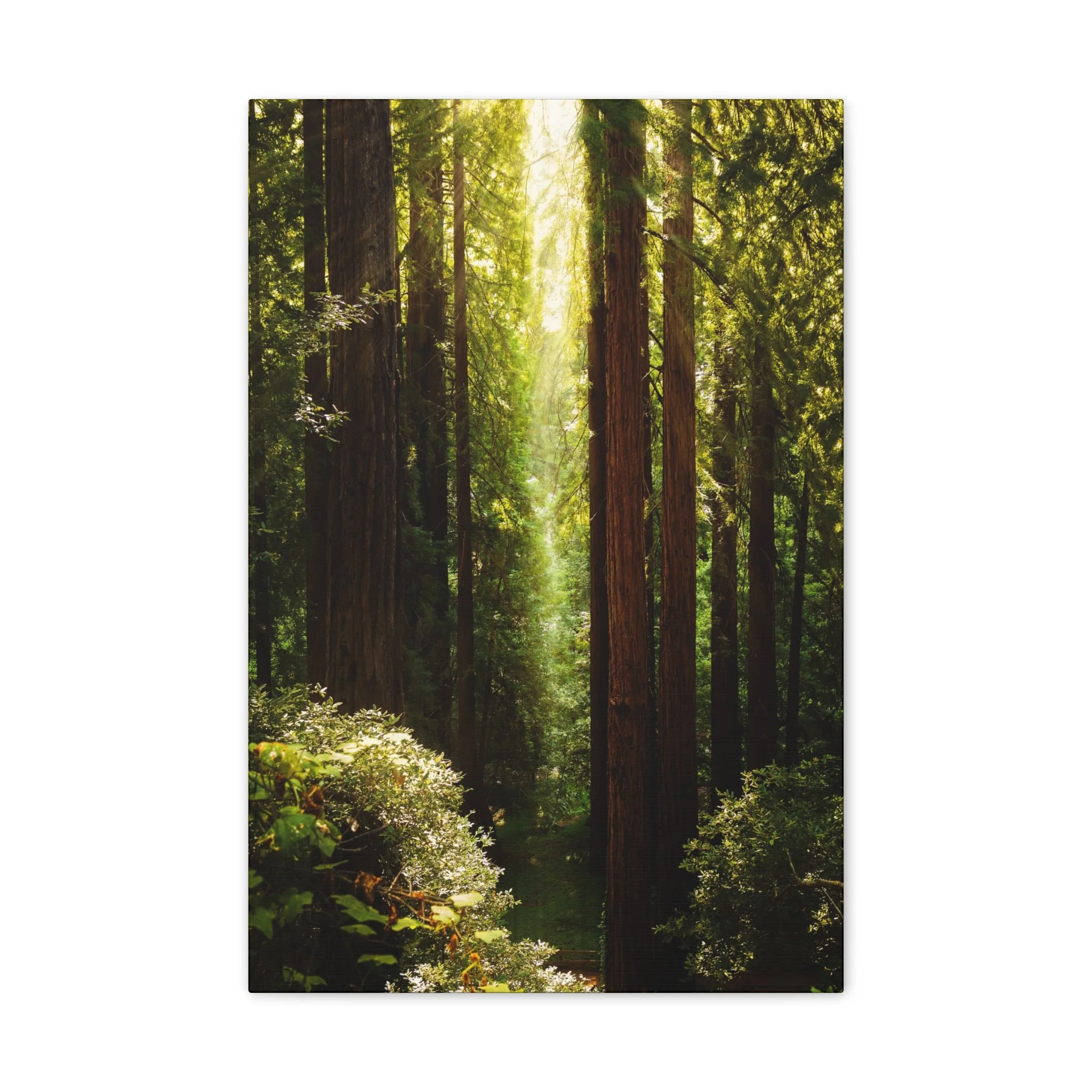 8defaf2eccf19fe69113e6192882e0fd