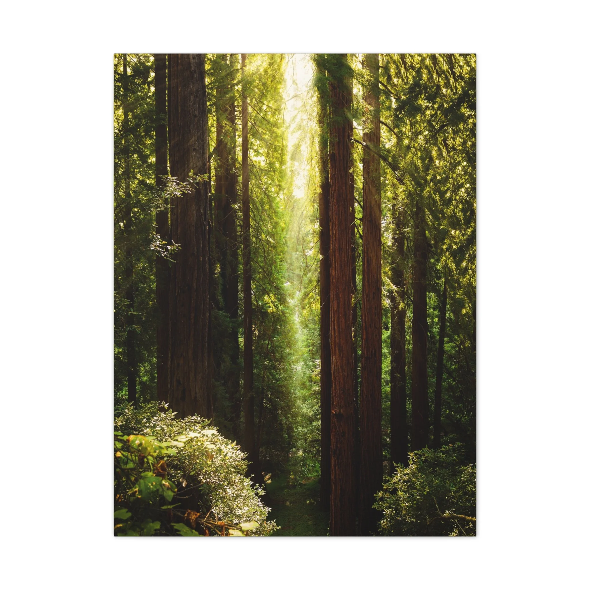 bc115cbc7bb1b8a83a0d7fe89cf3d0ab