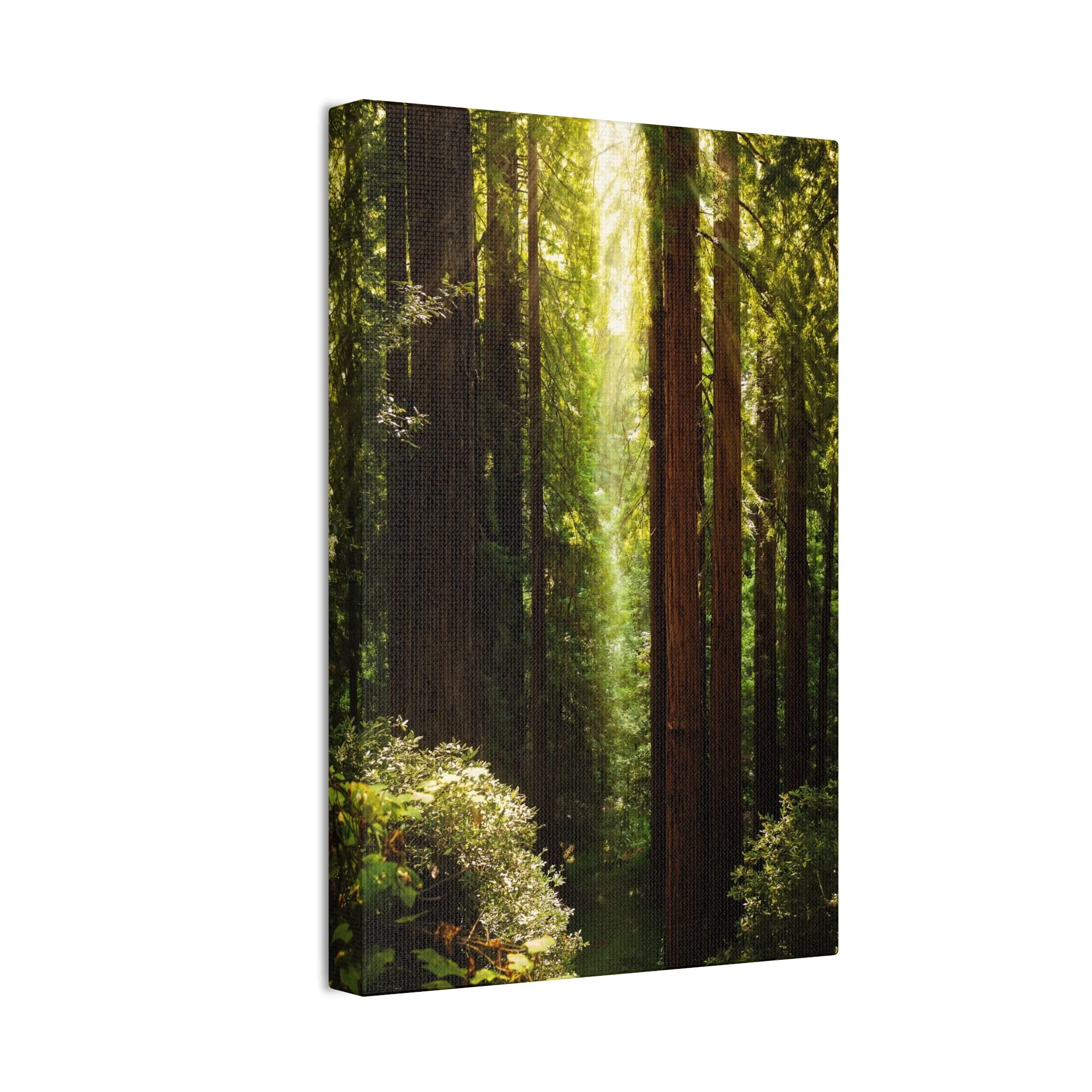 d8c2928bf140bb97502eb89e113af89a