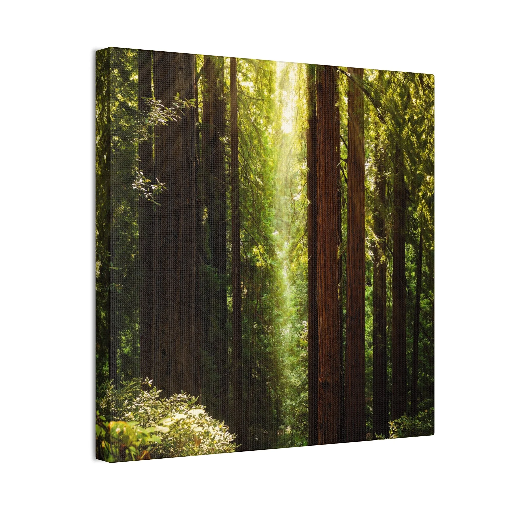 dd77ed071c9affbc306ae6cca6196acb