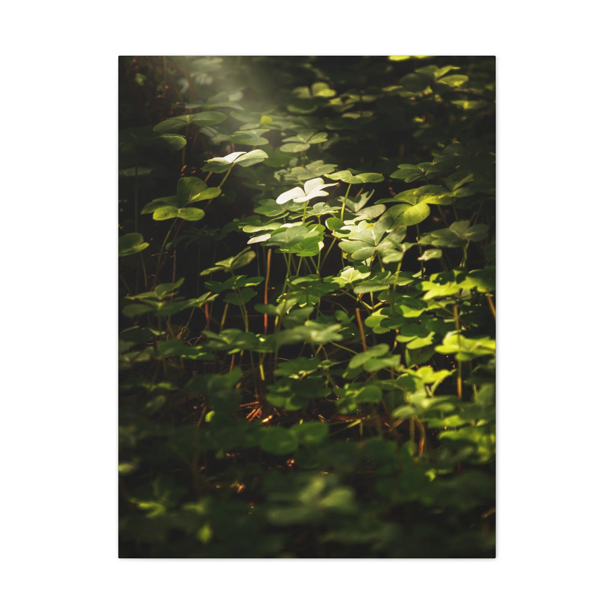 f2a267edf97b498aa987a8f3341072d9