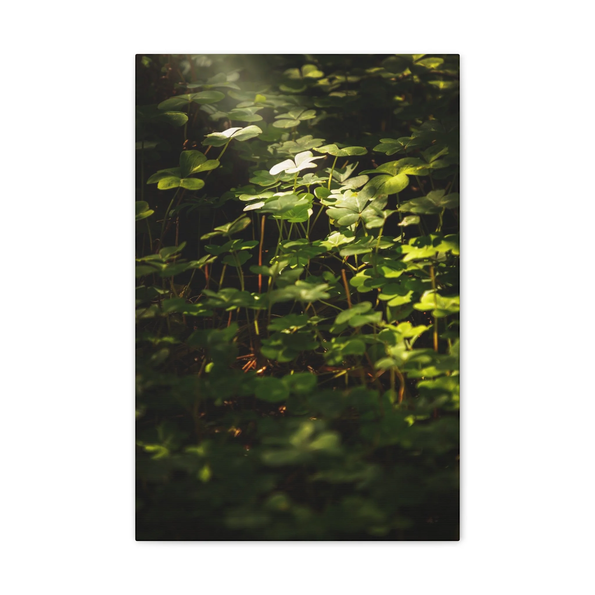 e6e98a99e5a3ace711a9cb3f18239e45