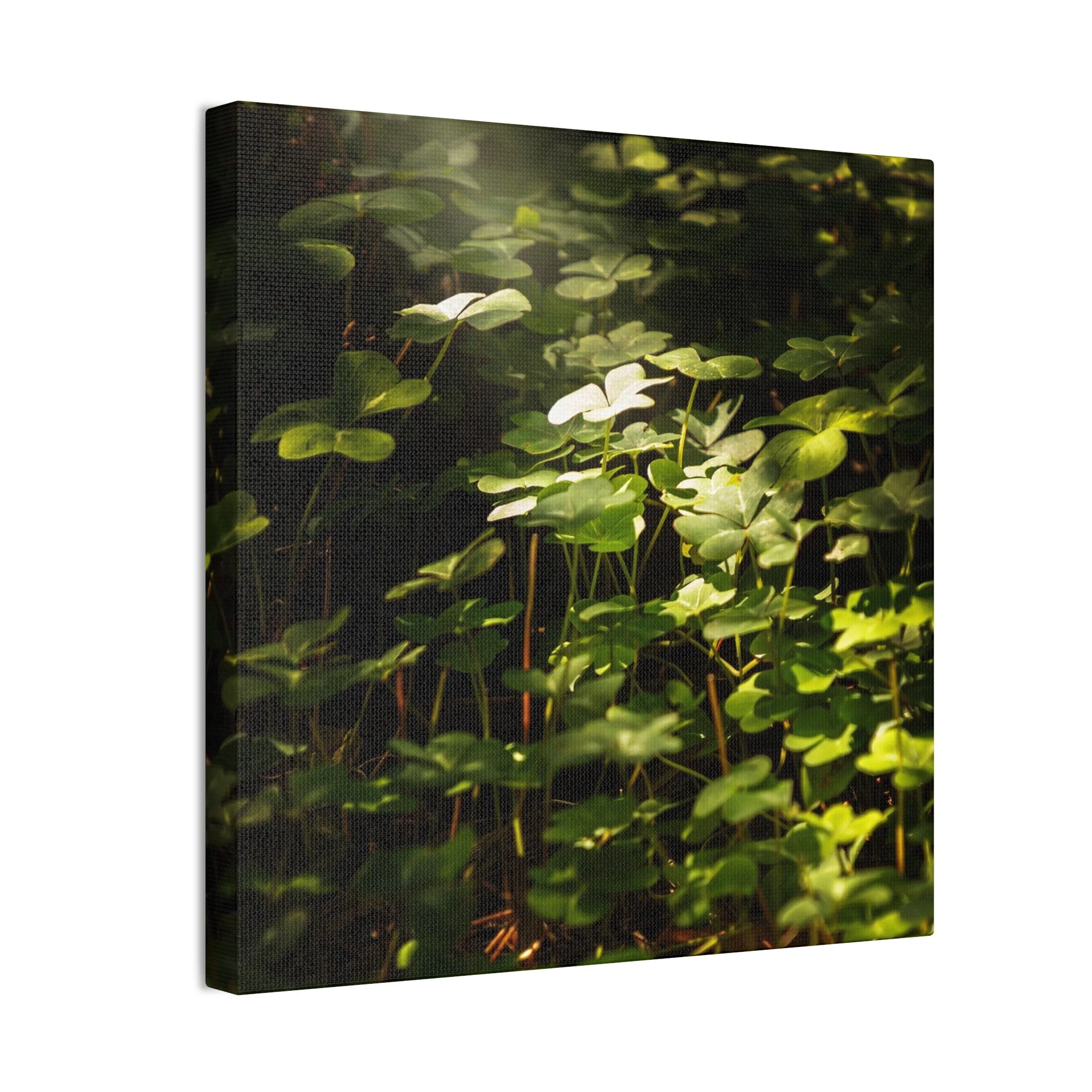 262a54bfa7de1a536f8051a4e429ae79