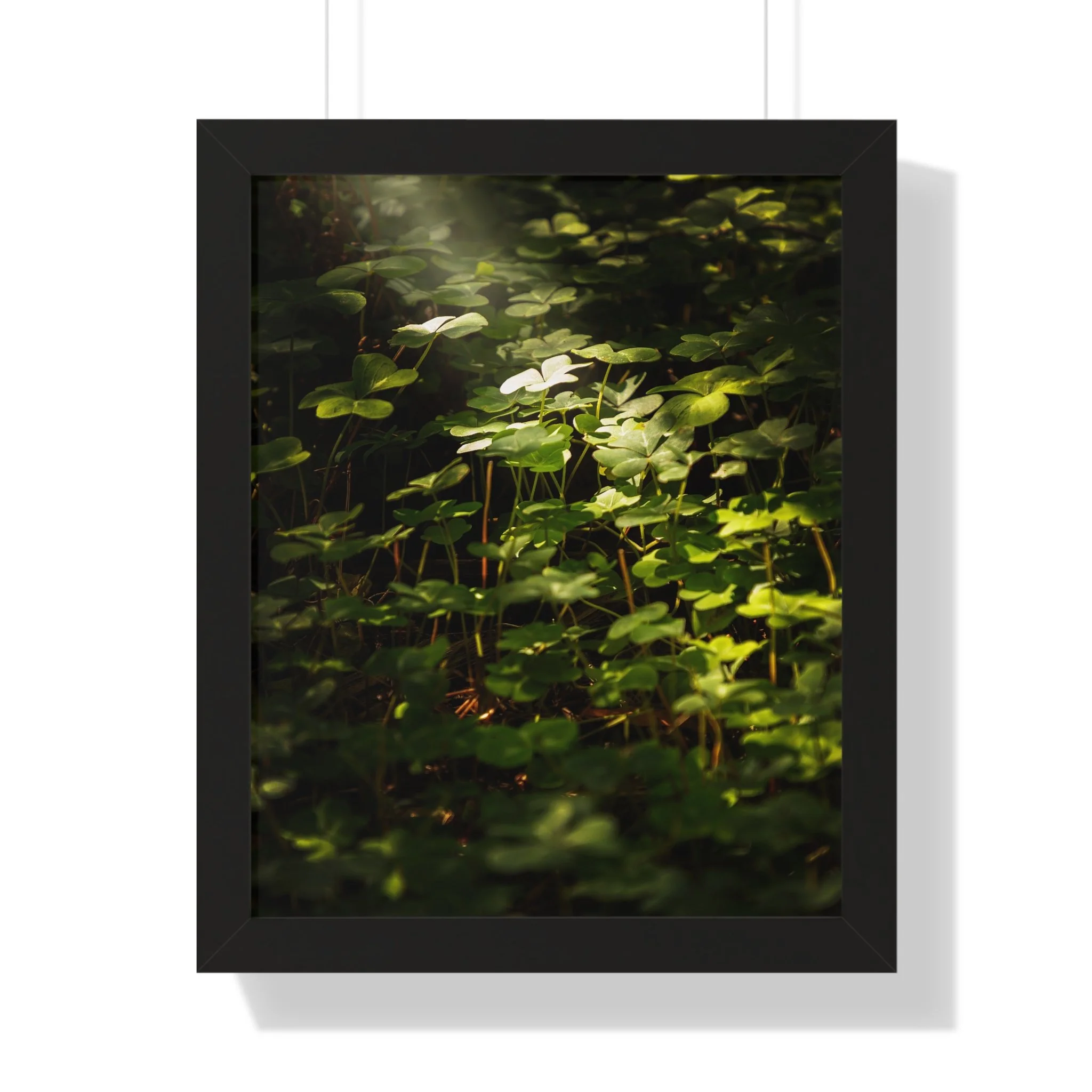 708bc3af0c078c3404a85d67731010b5