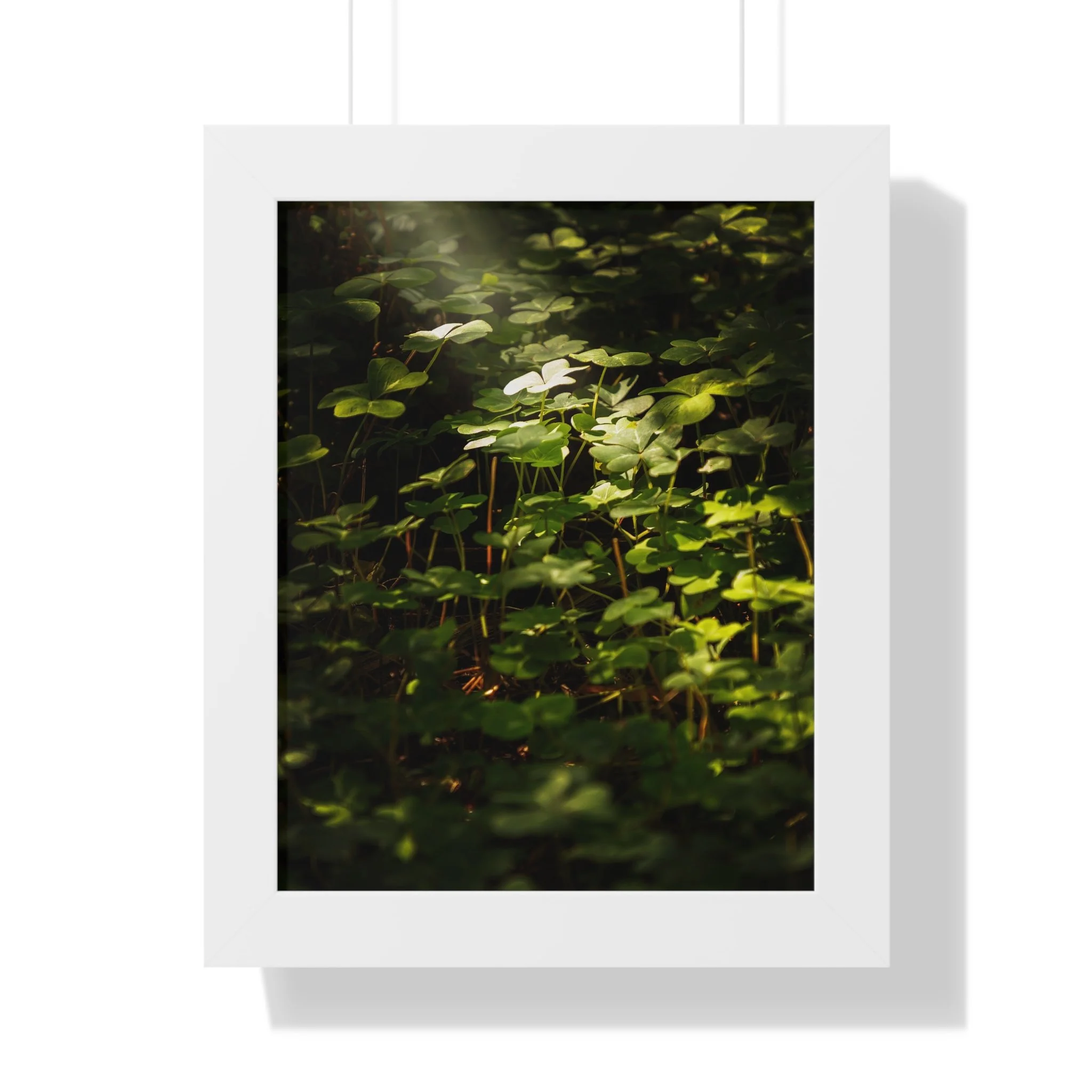 60c2a5f9e7886cef08eca503dbc6a3fa